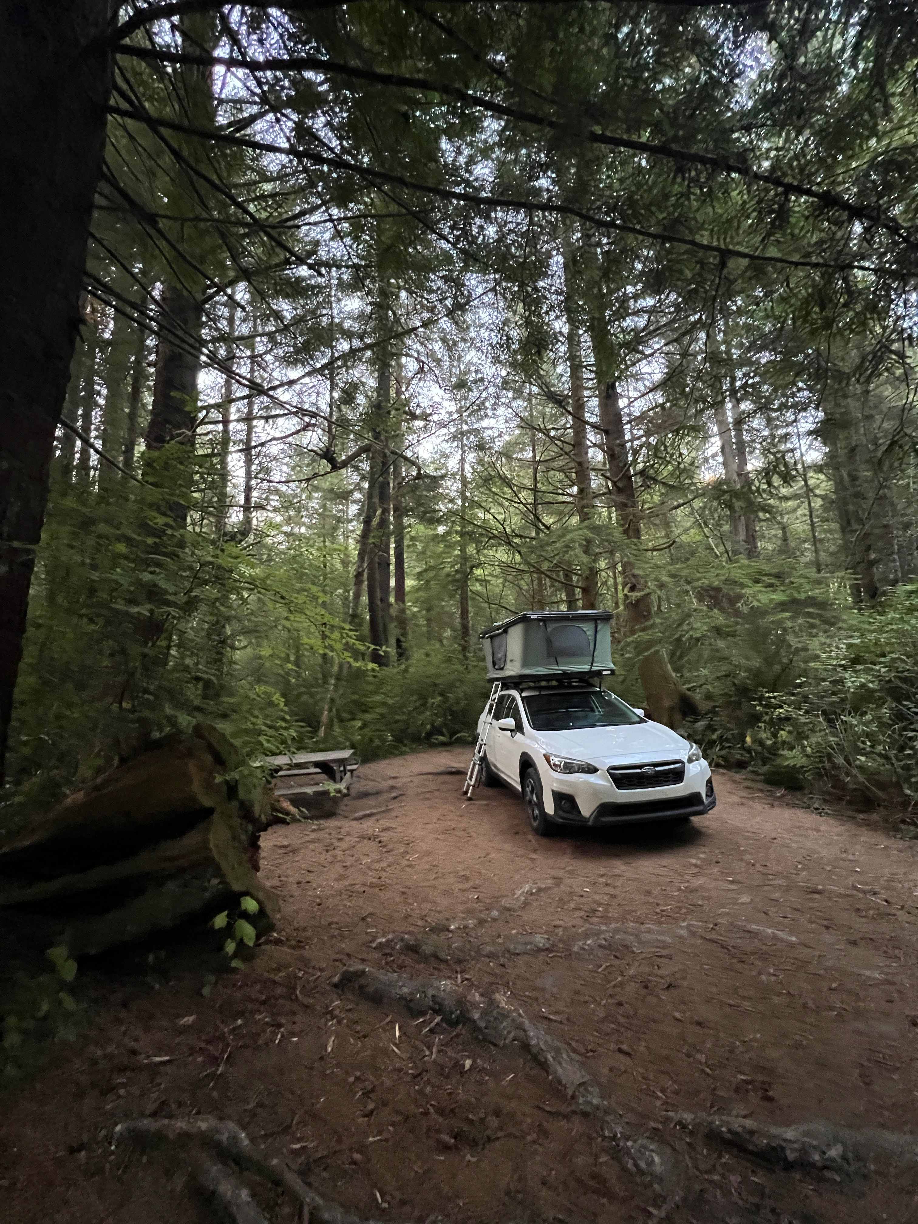 Mystic Forest Campground