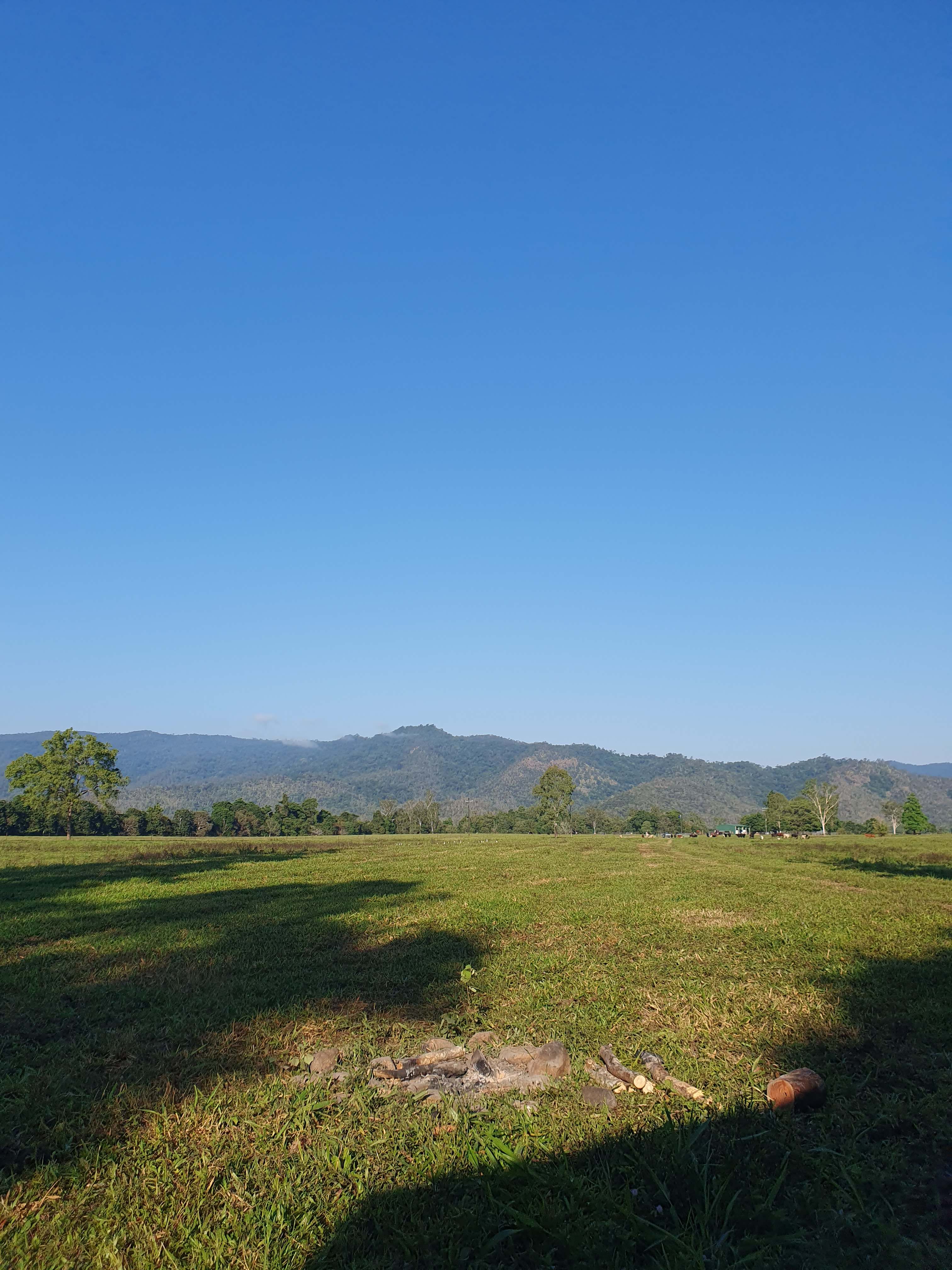 Herbert River Valley PasturesThat S