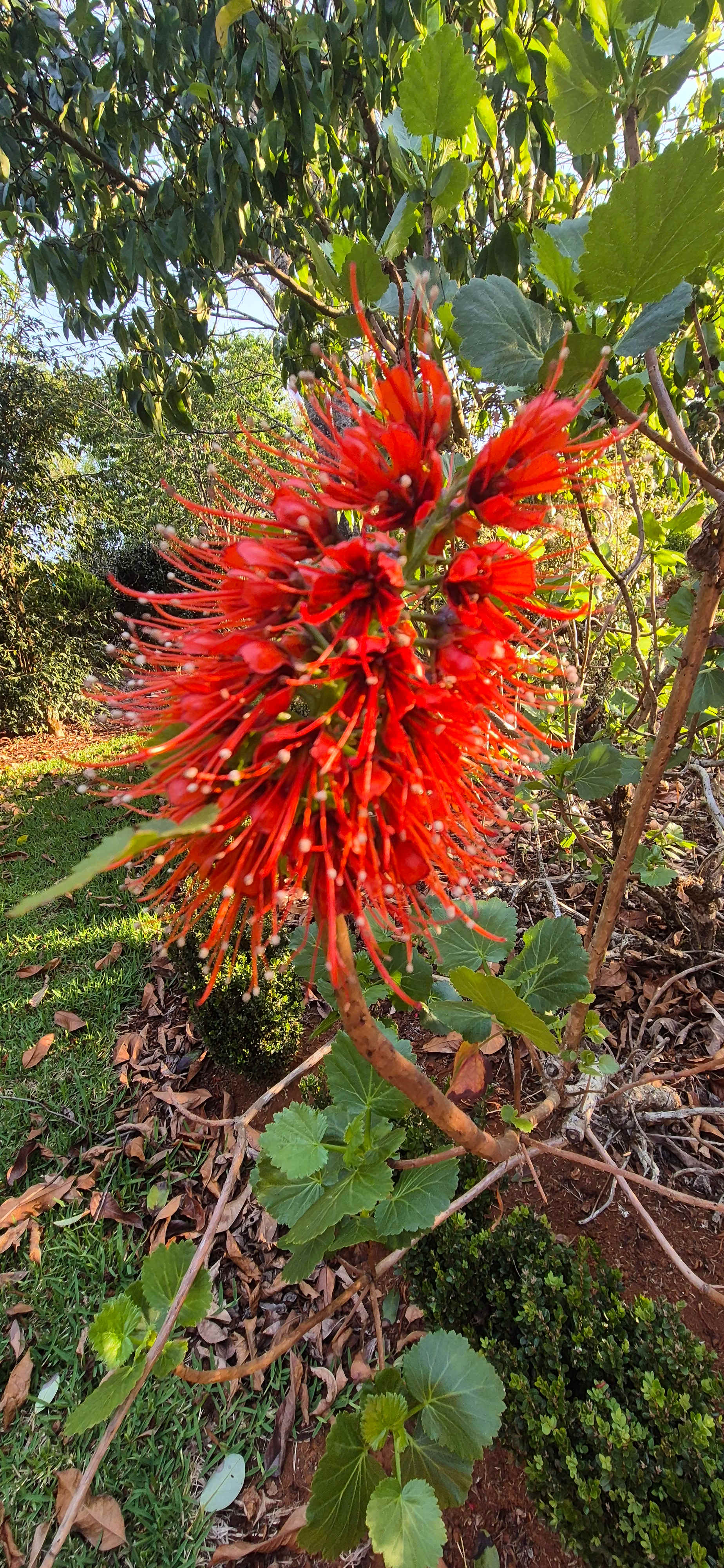 Parkers Place Gardens