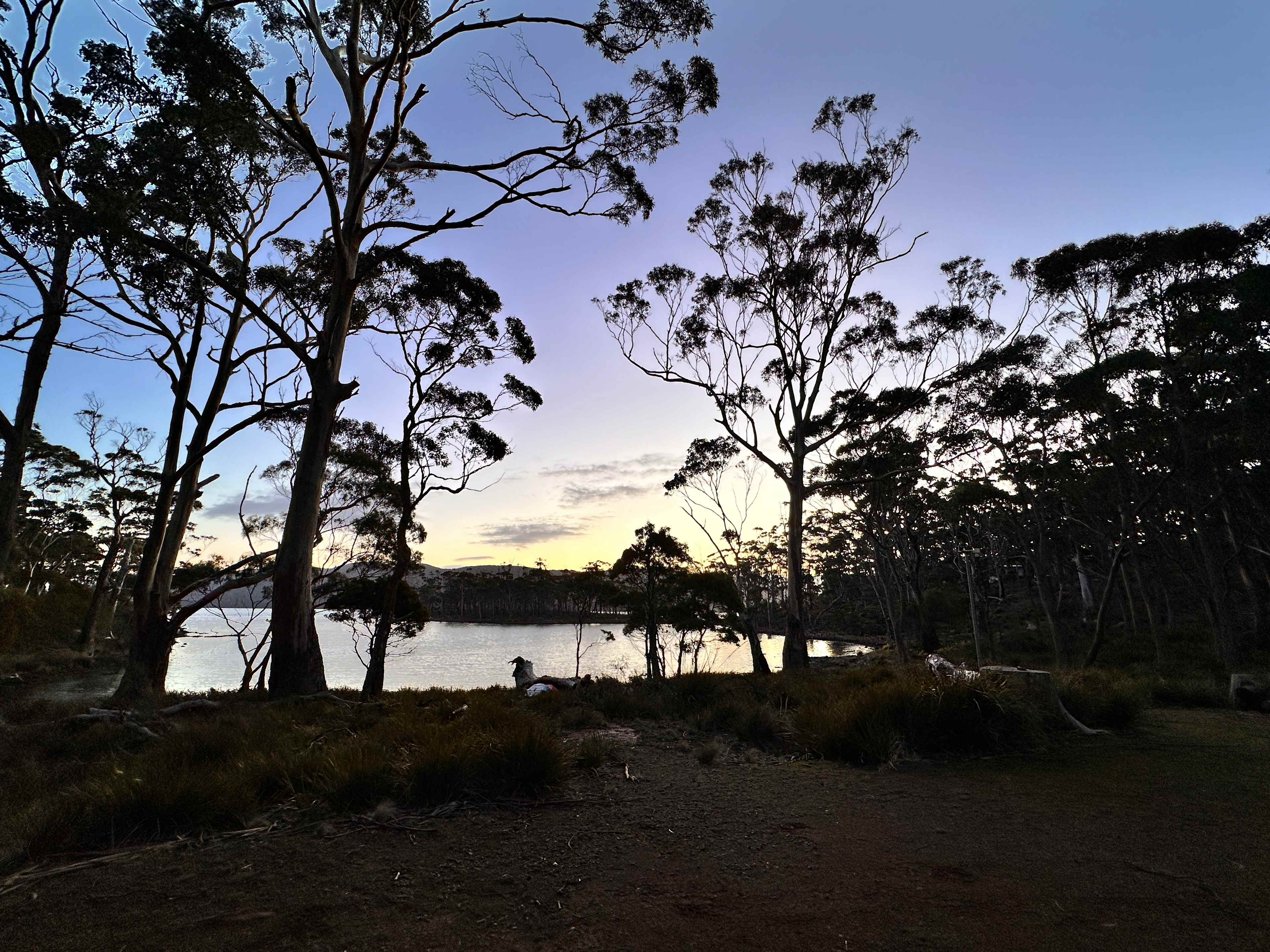Heron Cove, Bruny Island