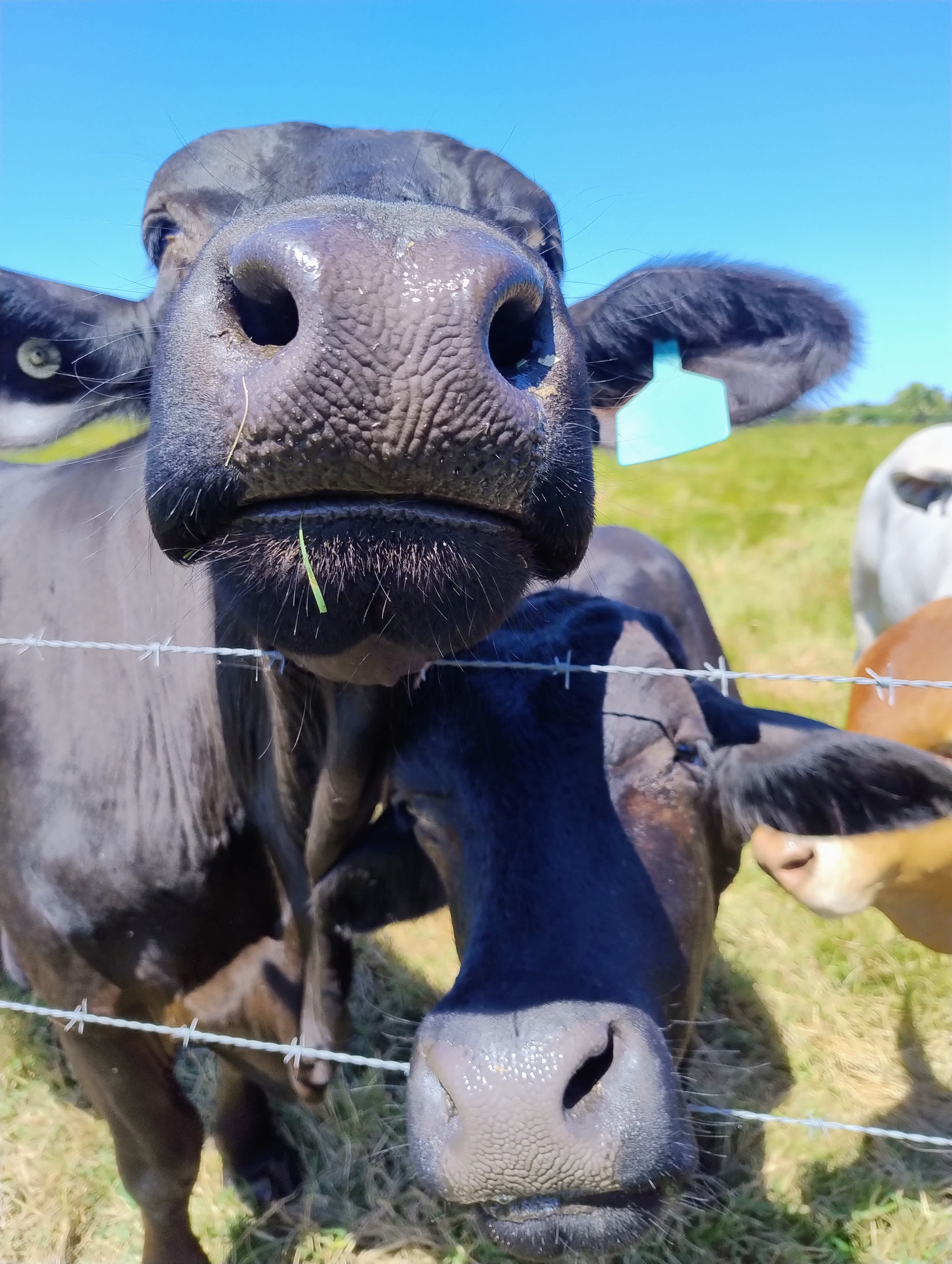 Newell Beach Farm Stay