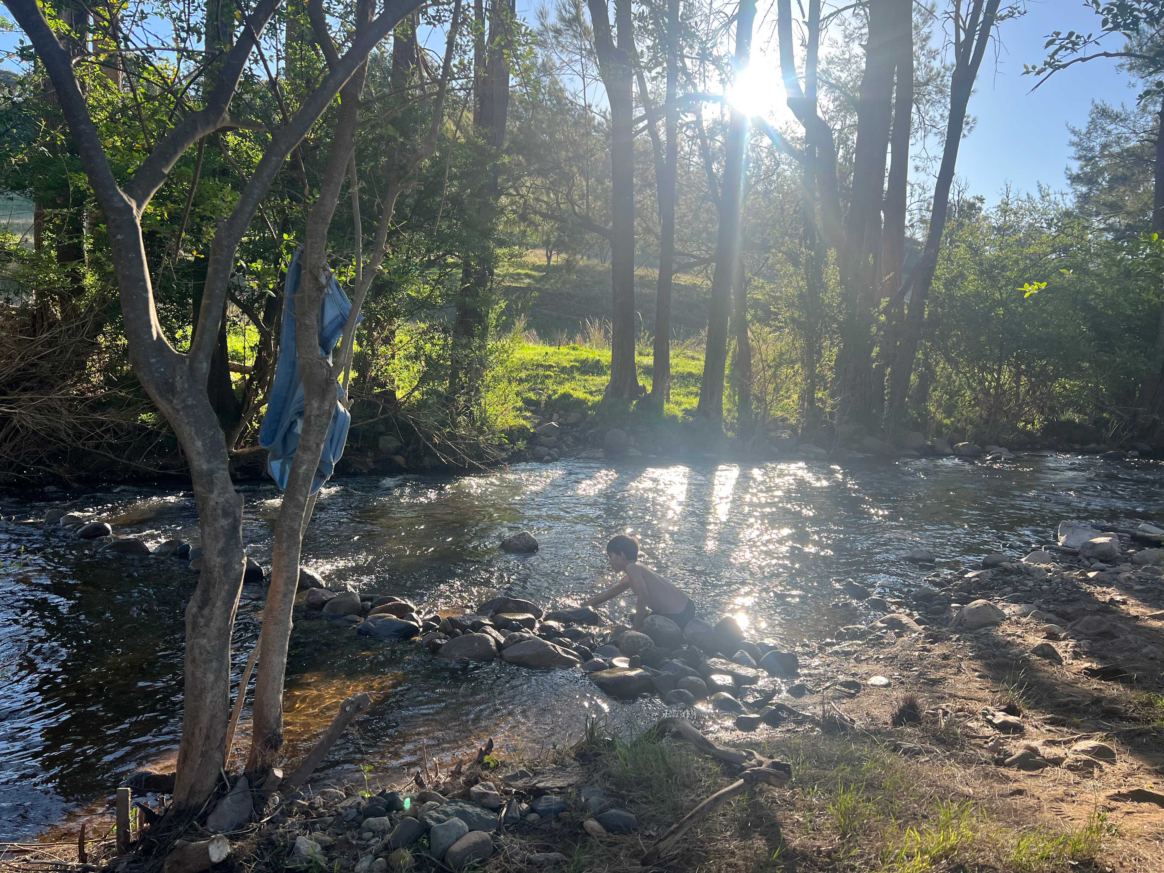 Omadale Brook, Barrington Tops