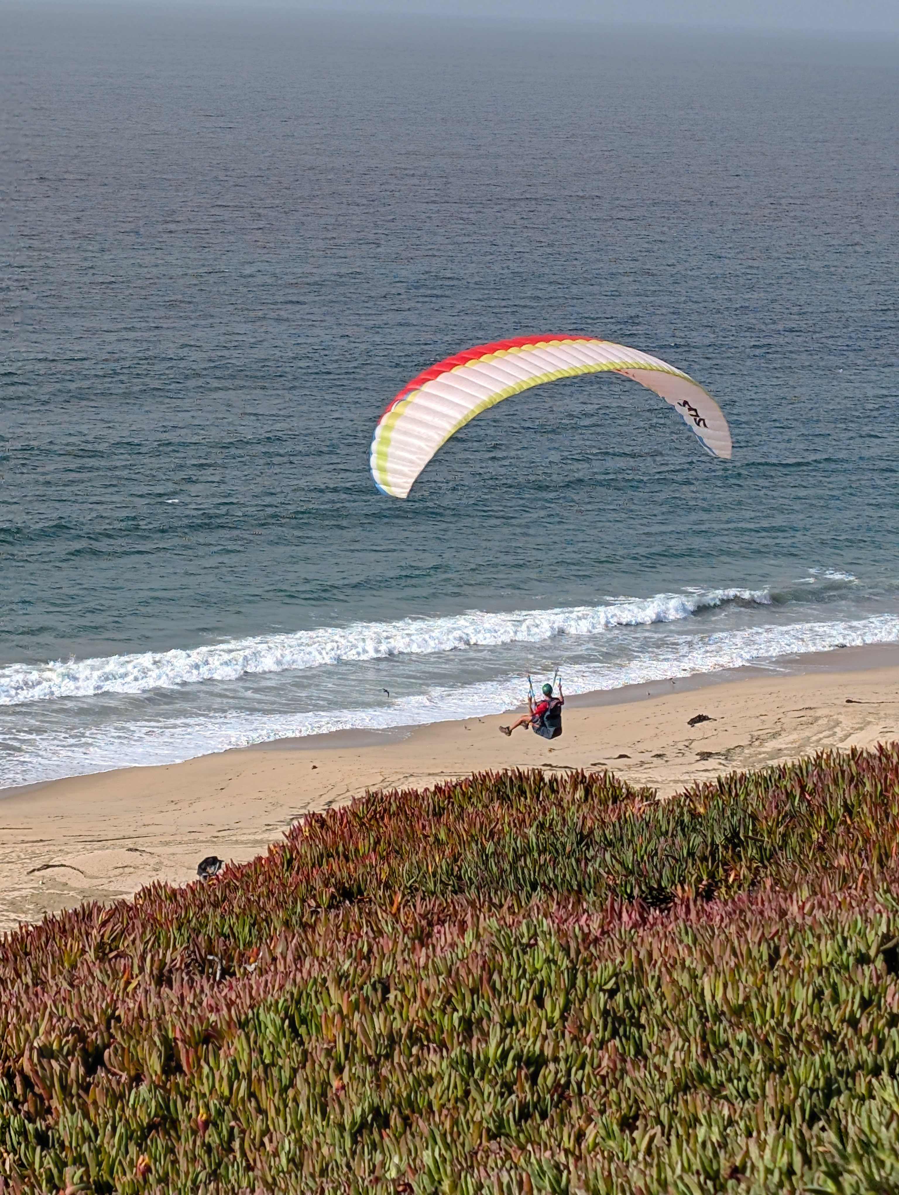 Strawberry Fields+Walk to the Beach