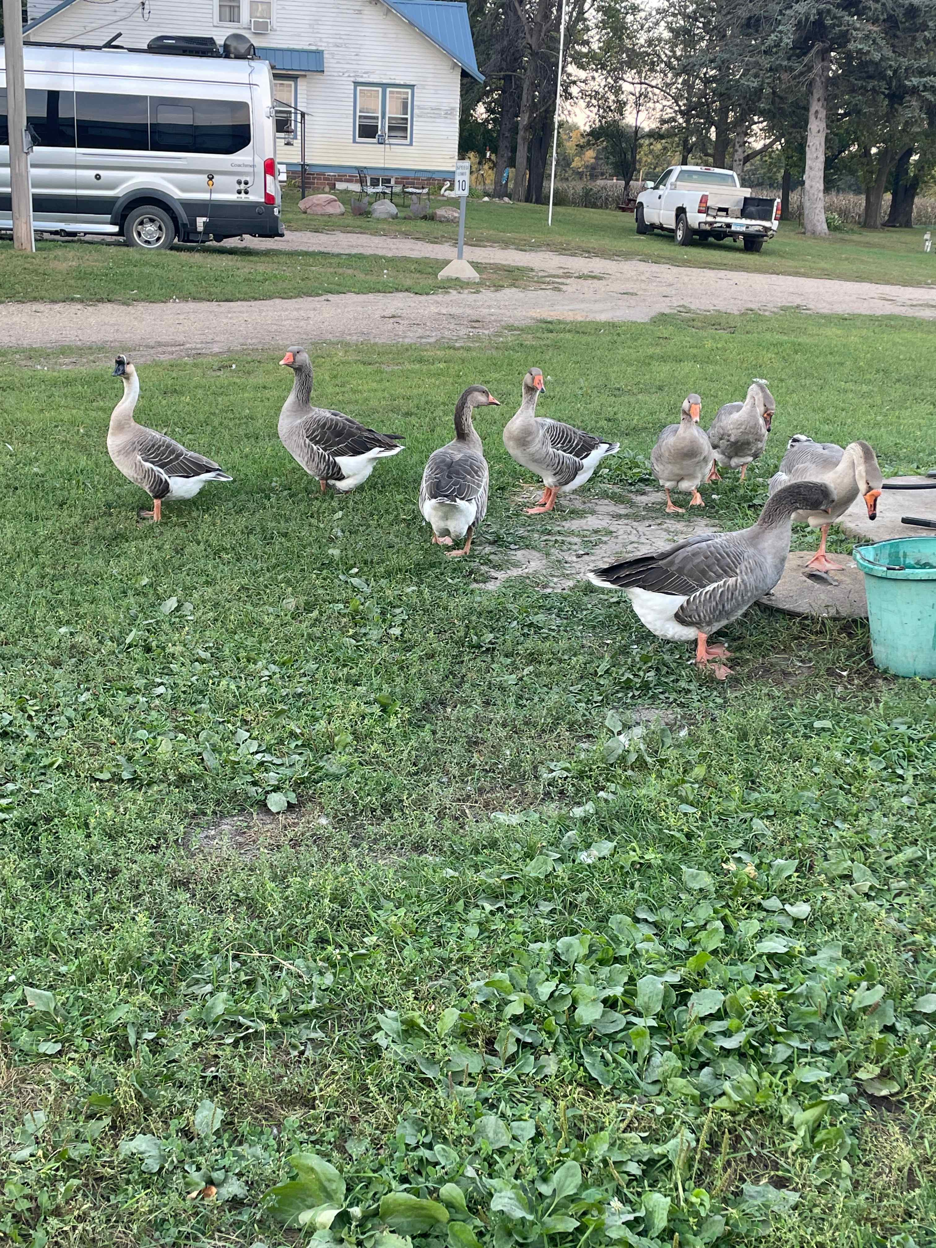 Mn River Valley Sanctuary