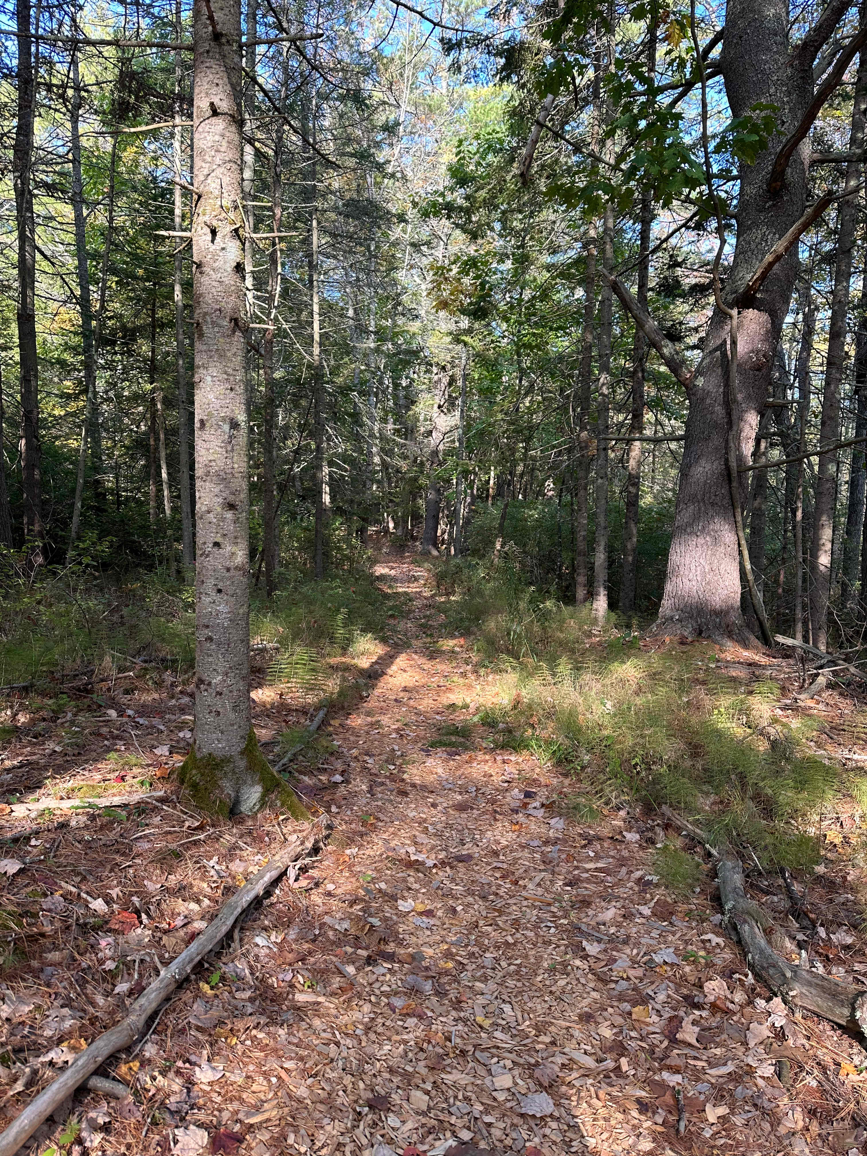 "Who Cooks For You?" Campsite