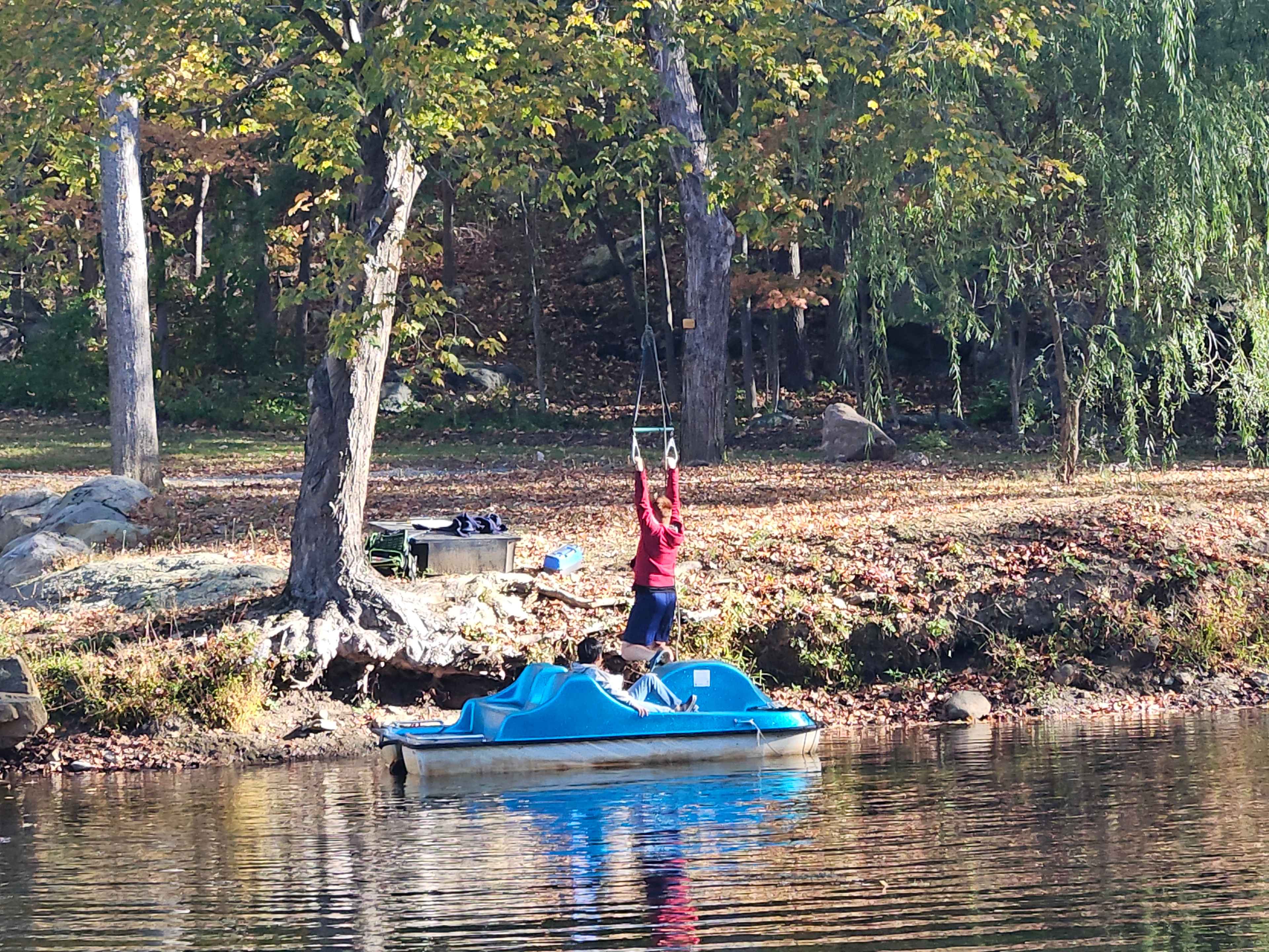 Paradise Valley Homestead