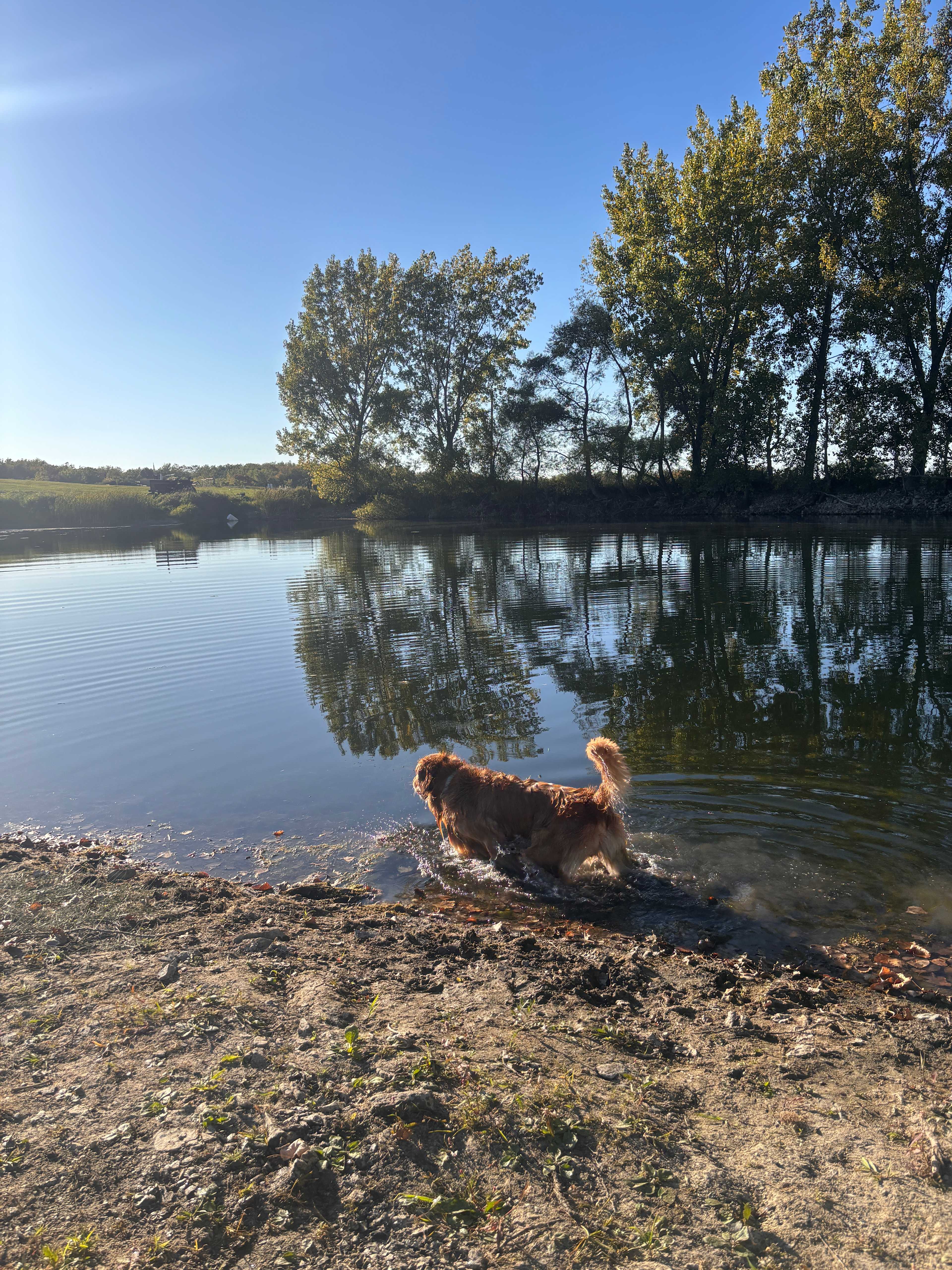 Frozen Ocean Property