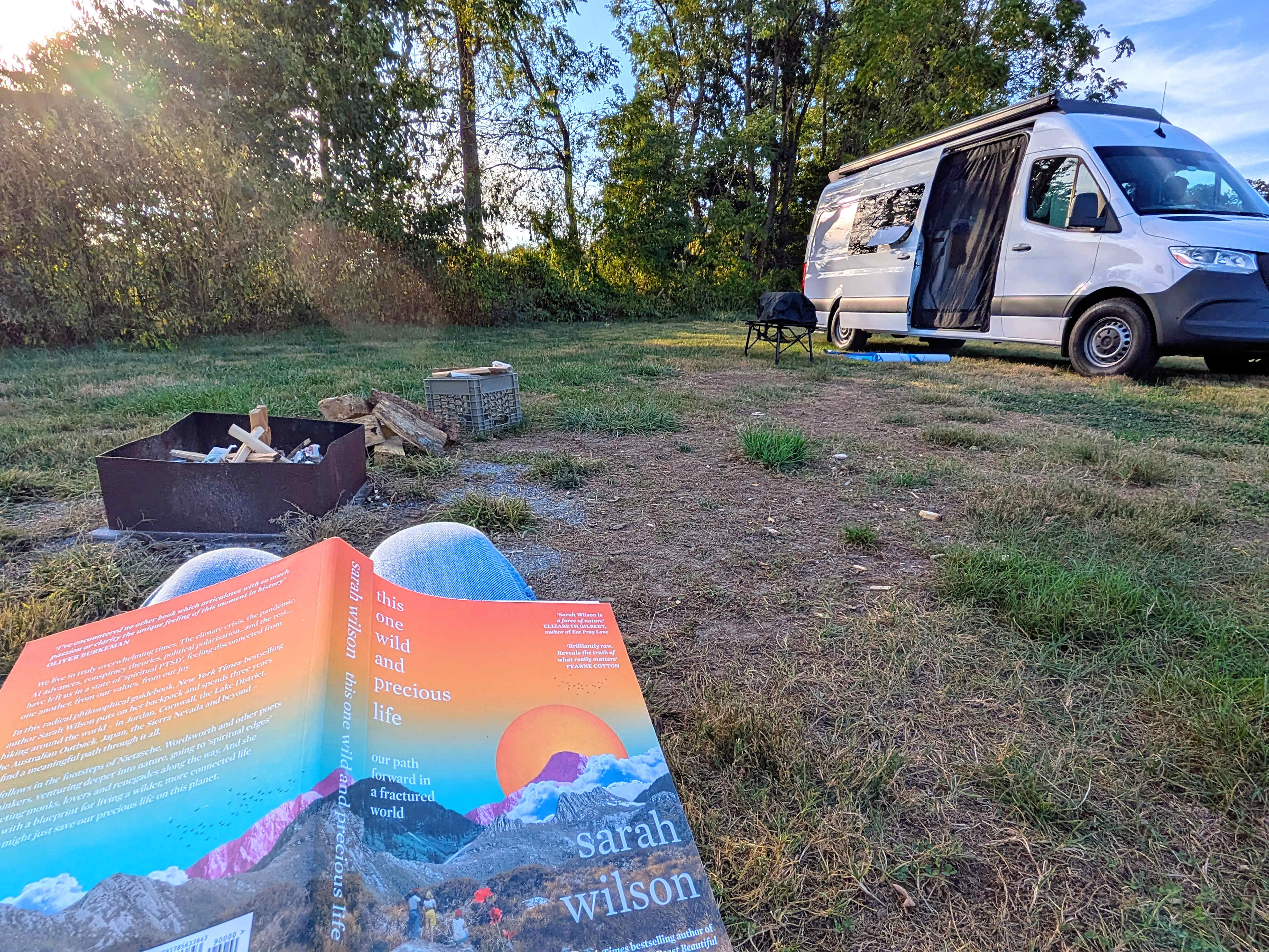 Christmas Tree Farm with Views