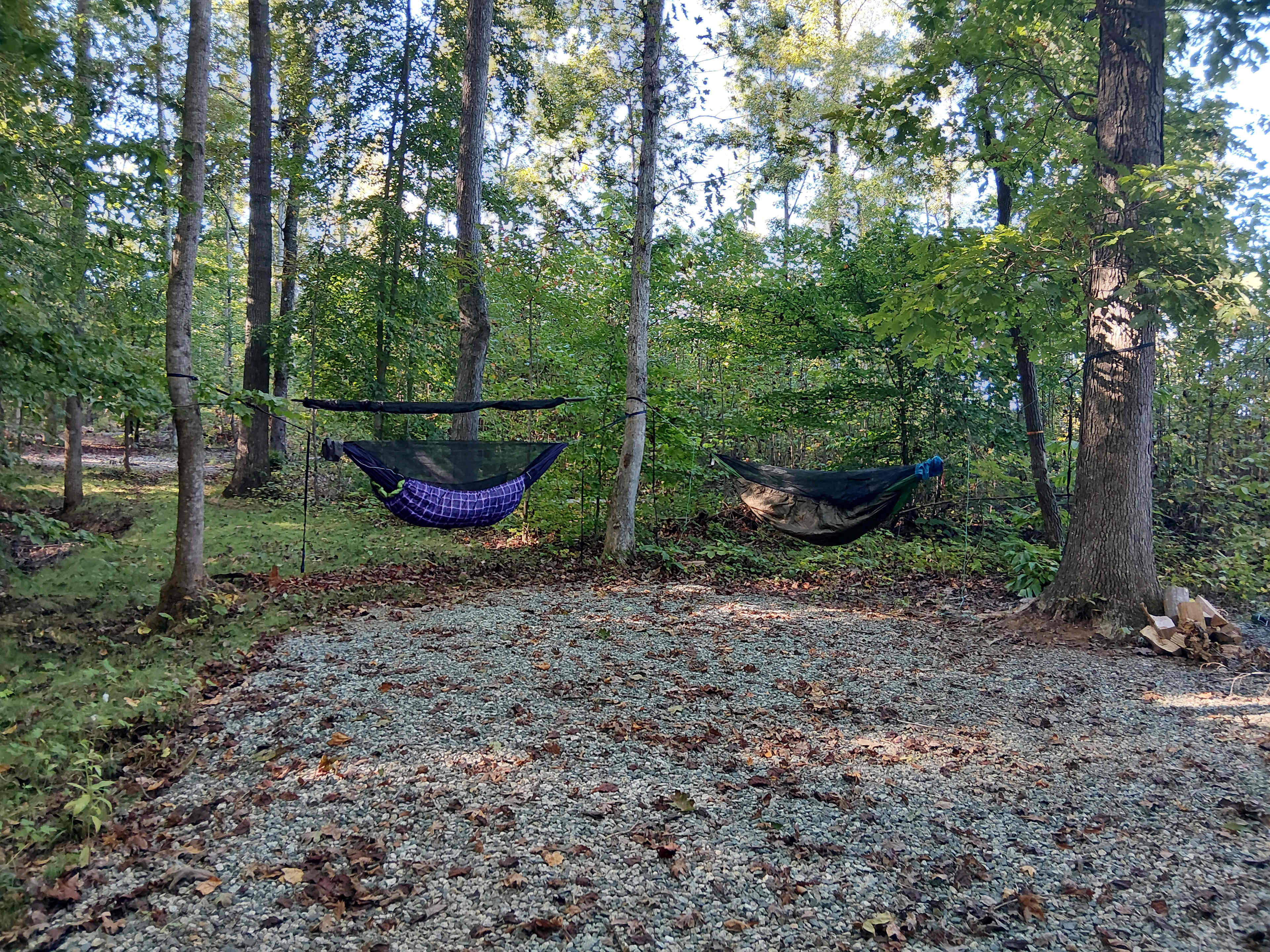 Excellent options for hammock camping