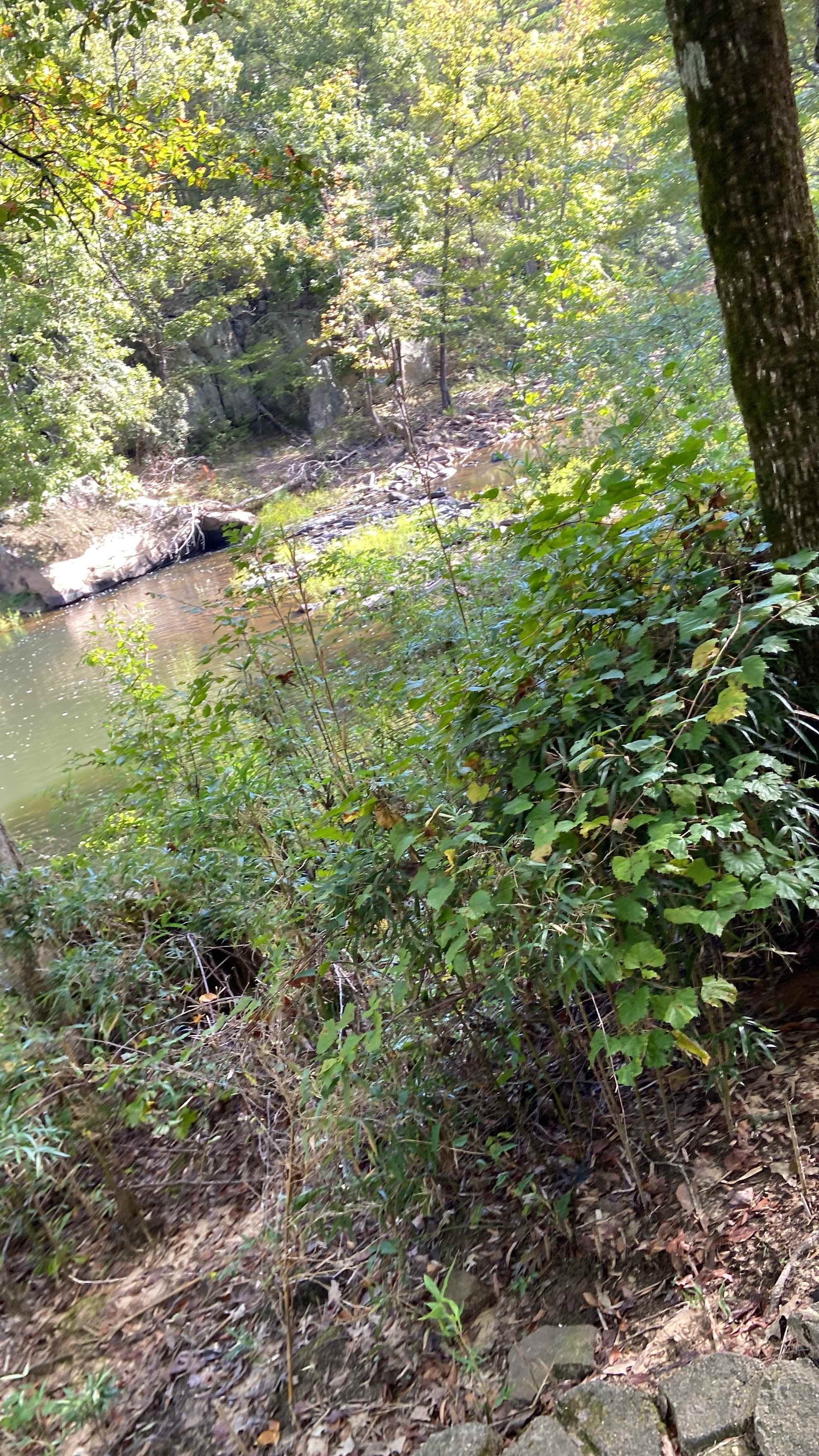 Pinnacle Springs Recreational Park