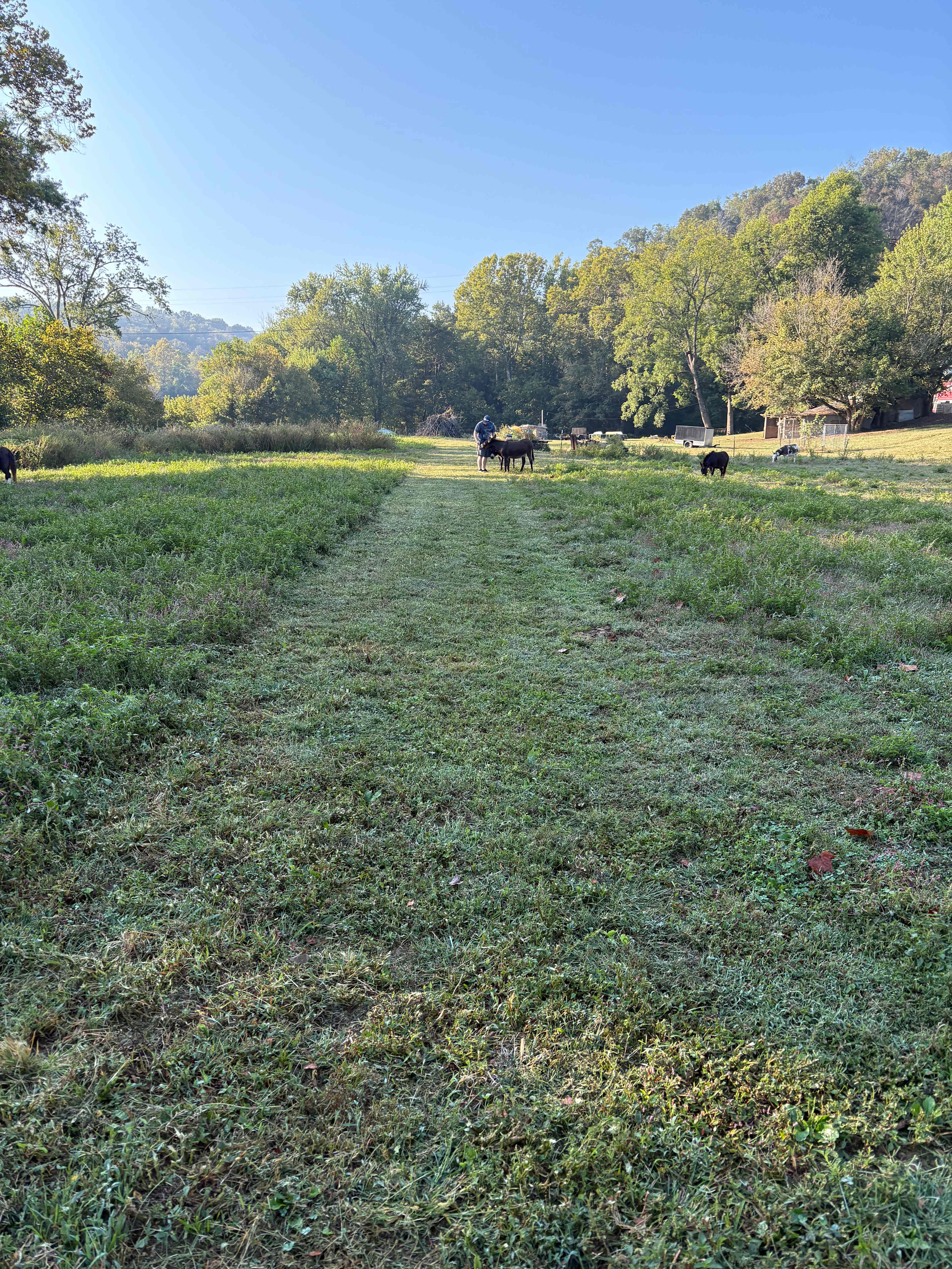 Wildcat Creek Farm in Tyrone
