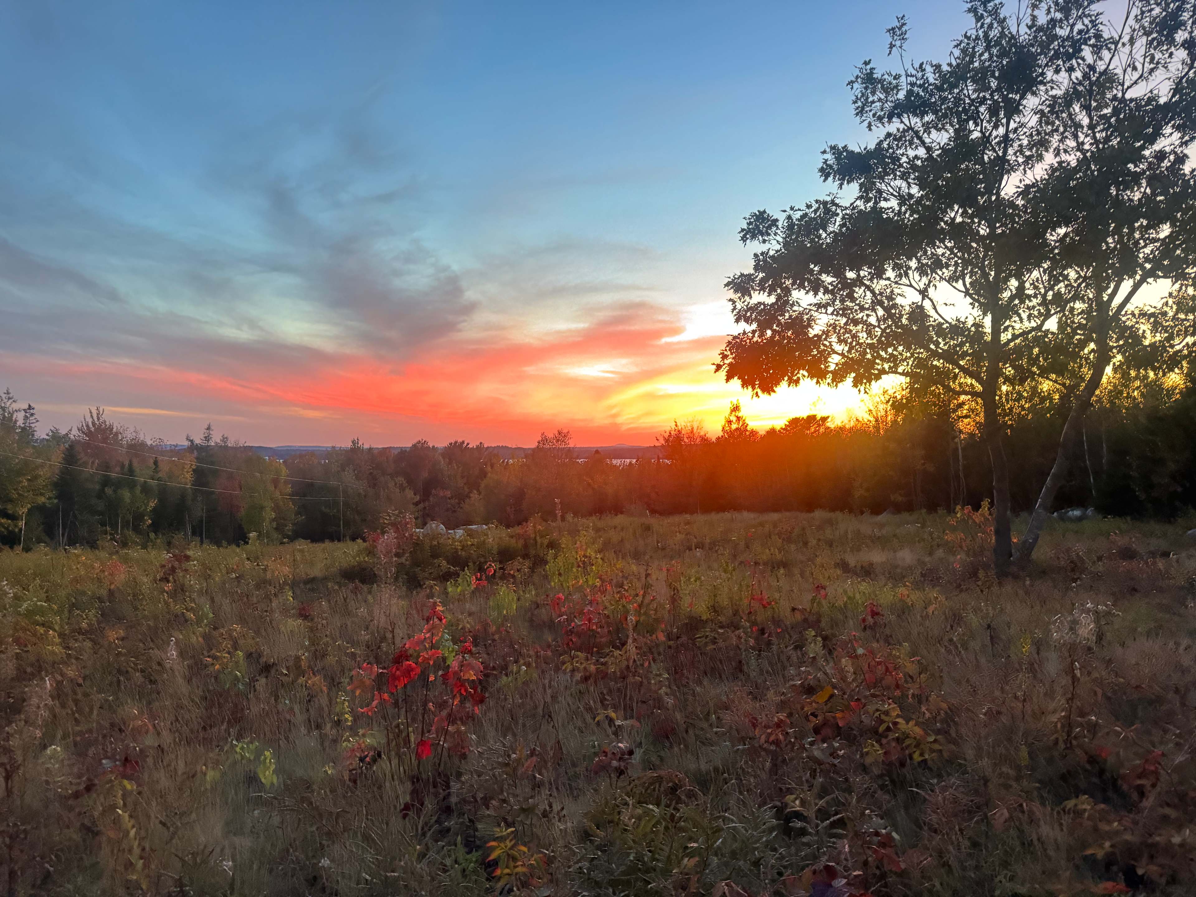 Hillside Gateway to Acadia/Schoodic