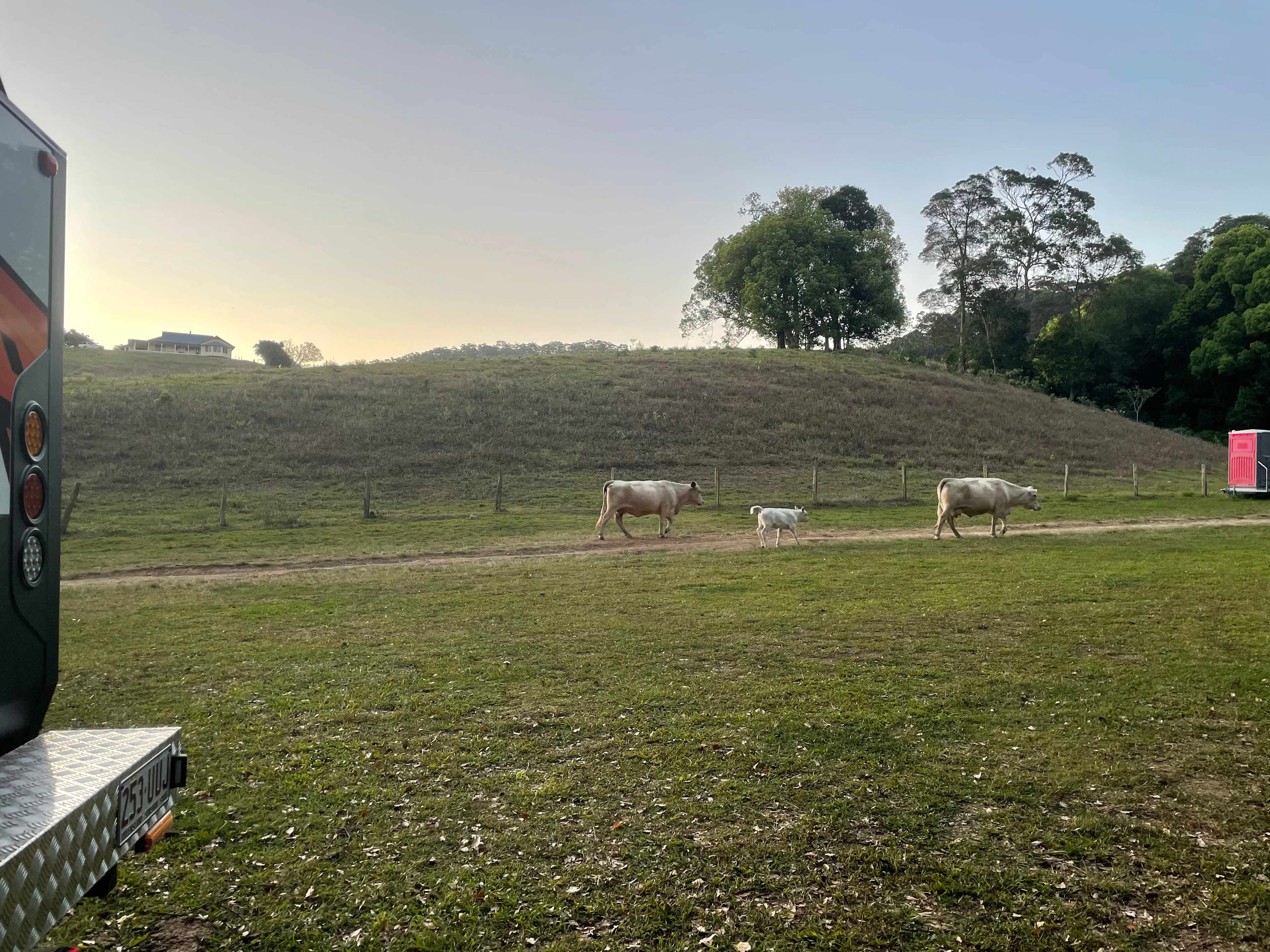 The Sleepy Hollow Manor Estate