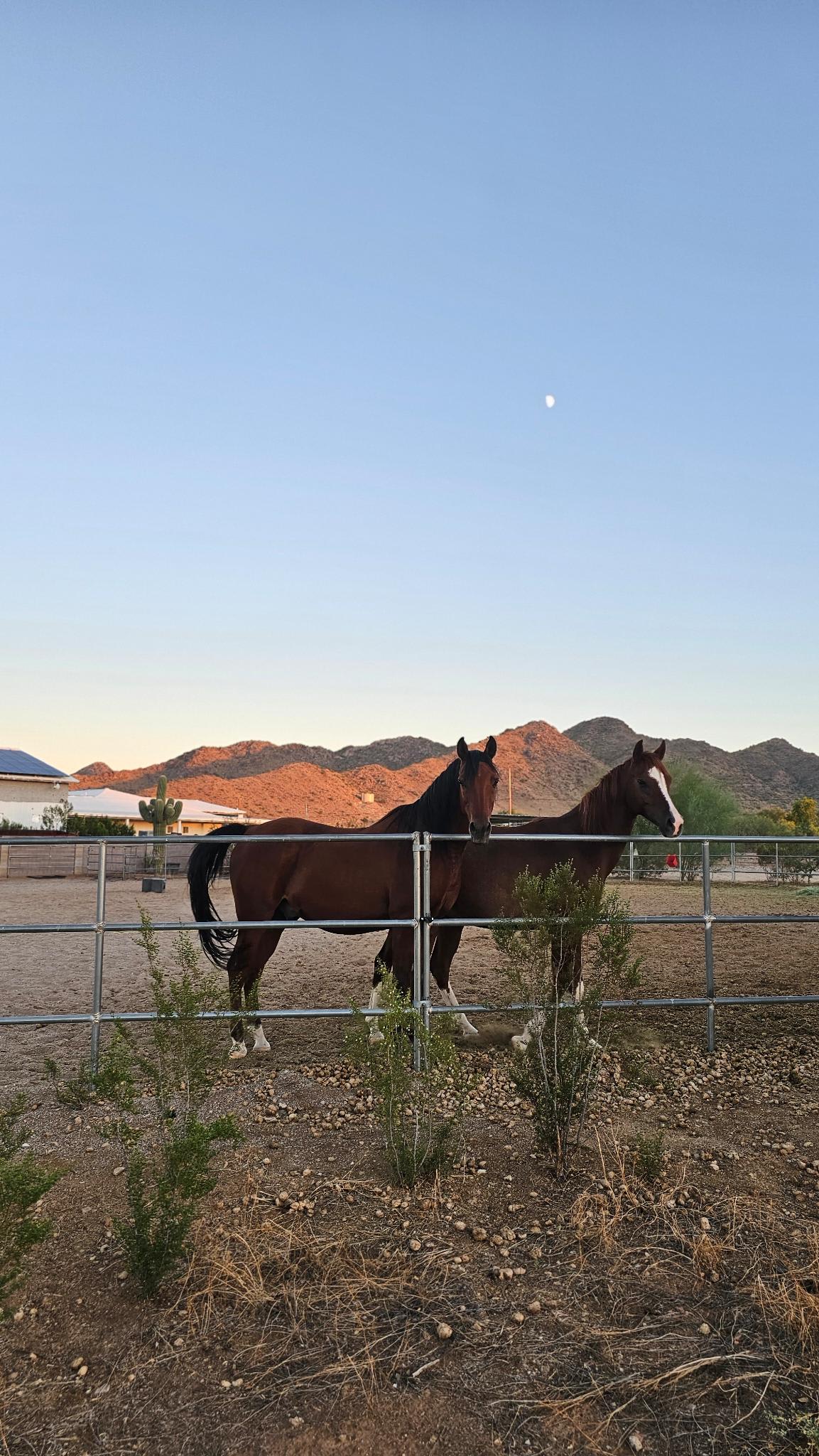 Santan Mountain Views