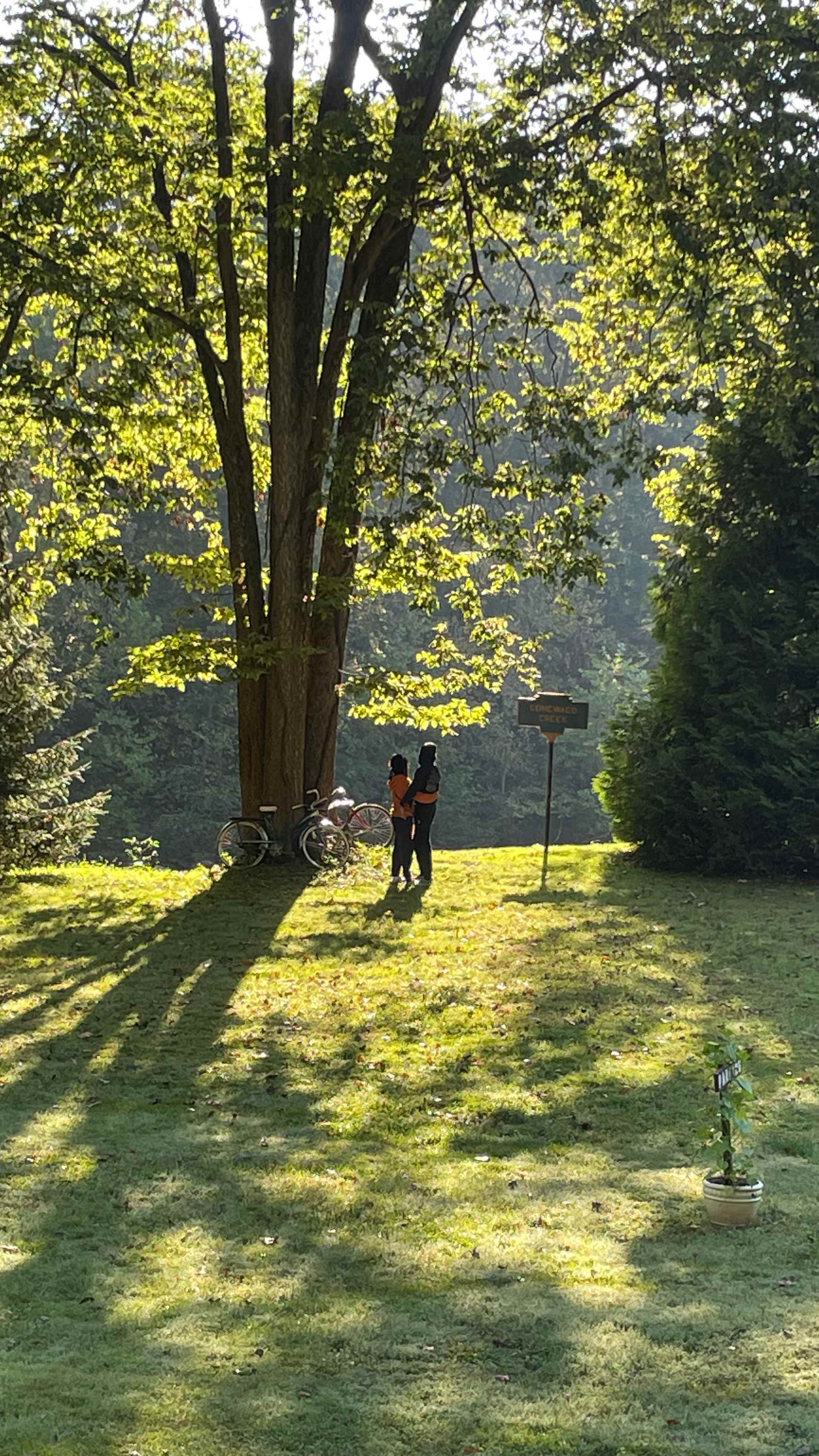 Conewago Glamp and Paddle