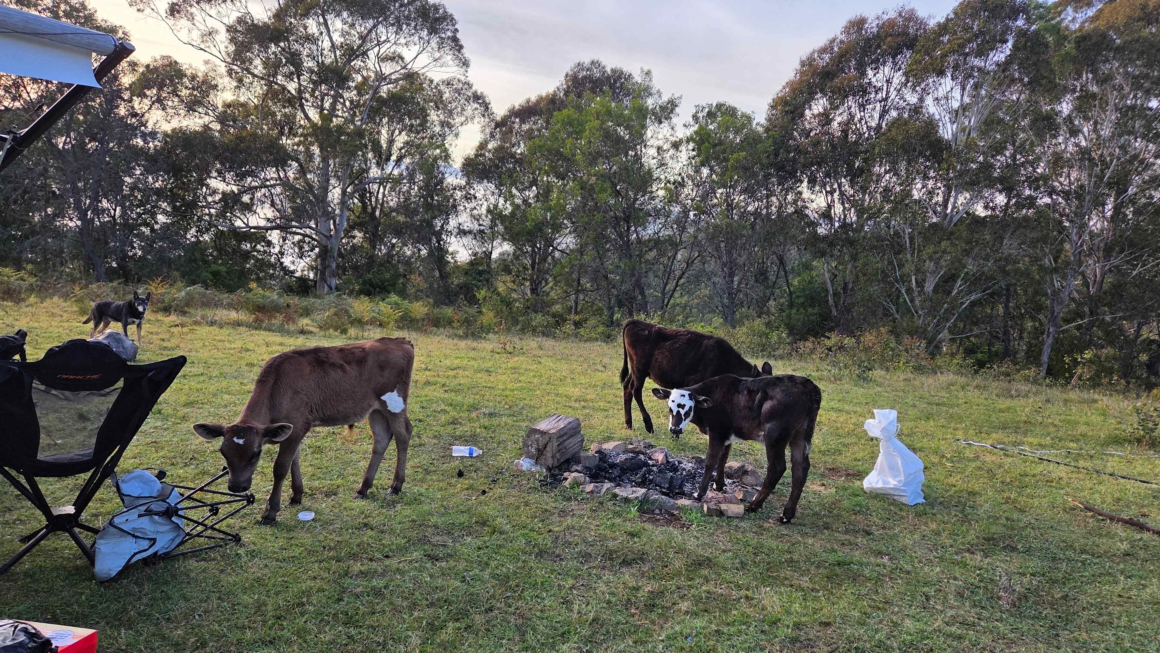 Bega Valley and Mountain Views