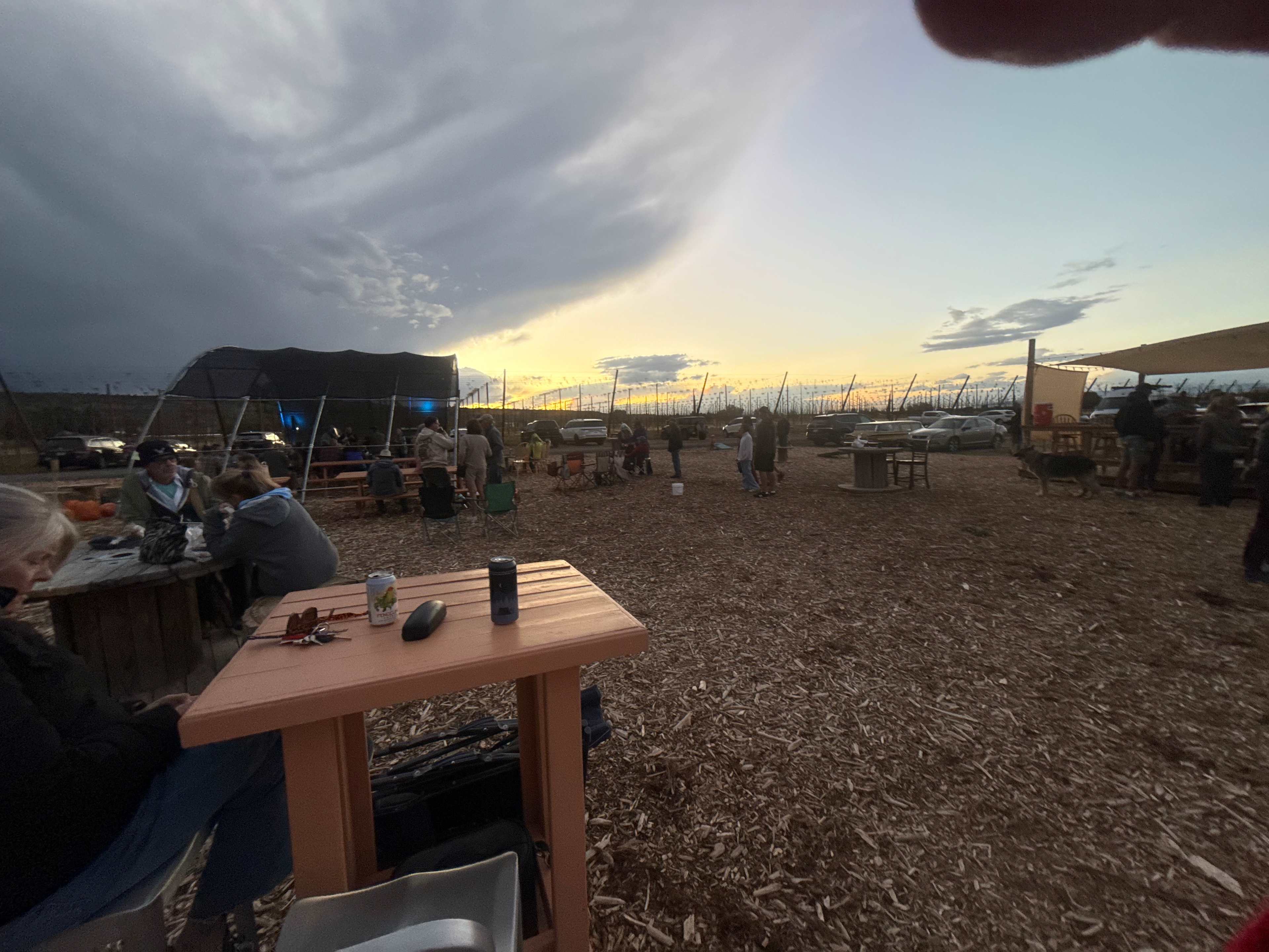 Down at the Hop Yard Camping