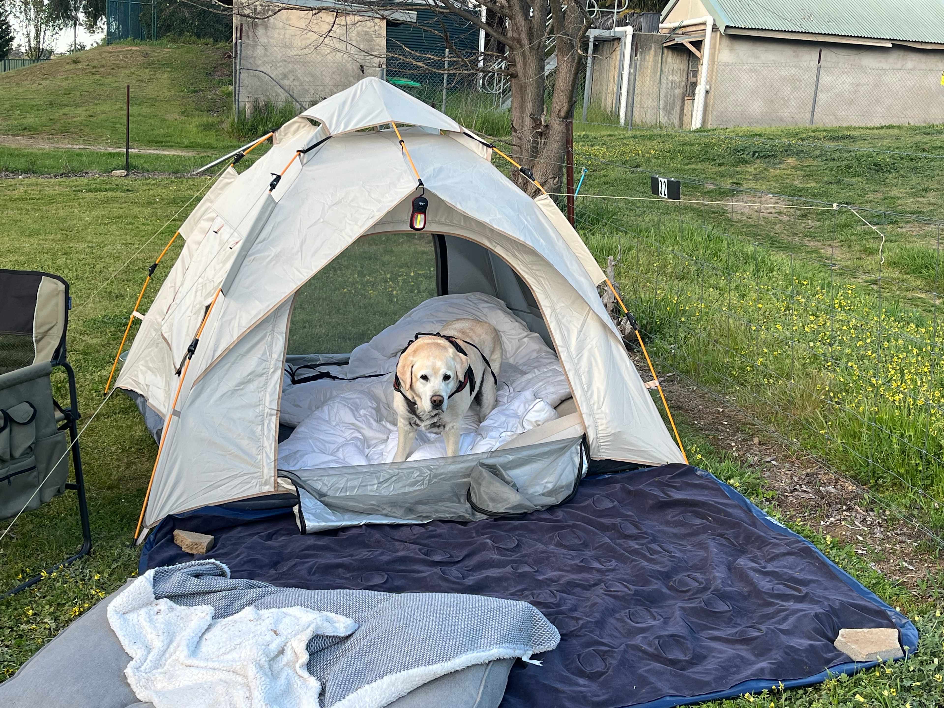 Rutherglen Holiday Park