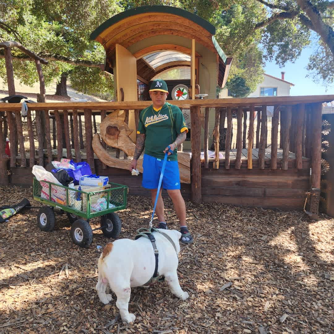 Gypsy wagon nice place