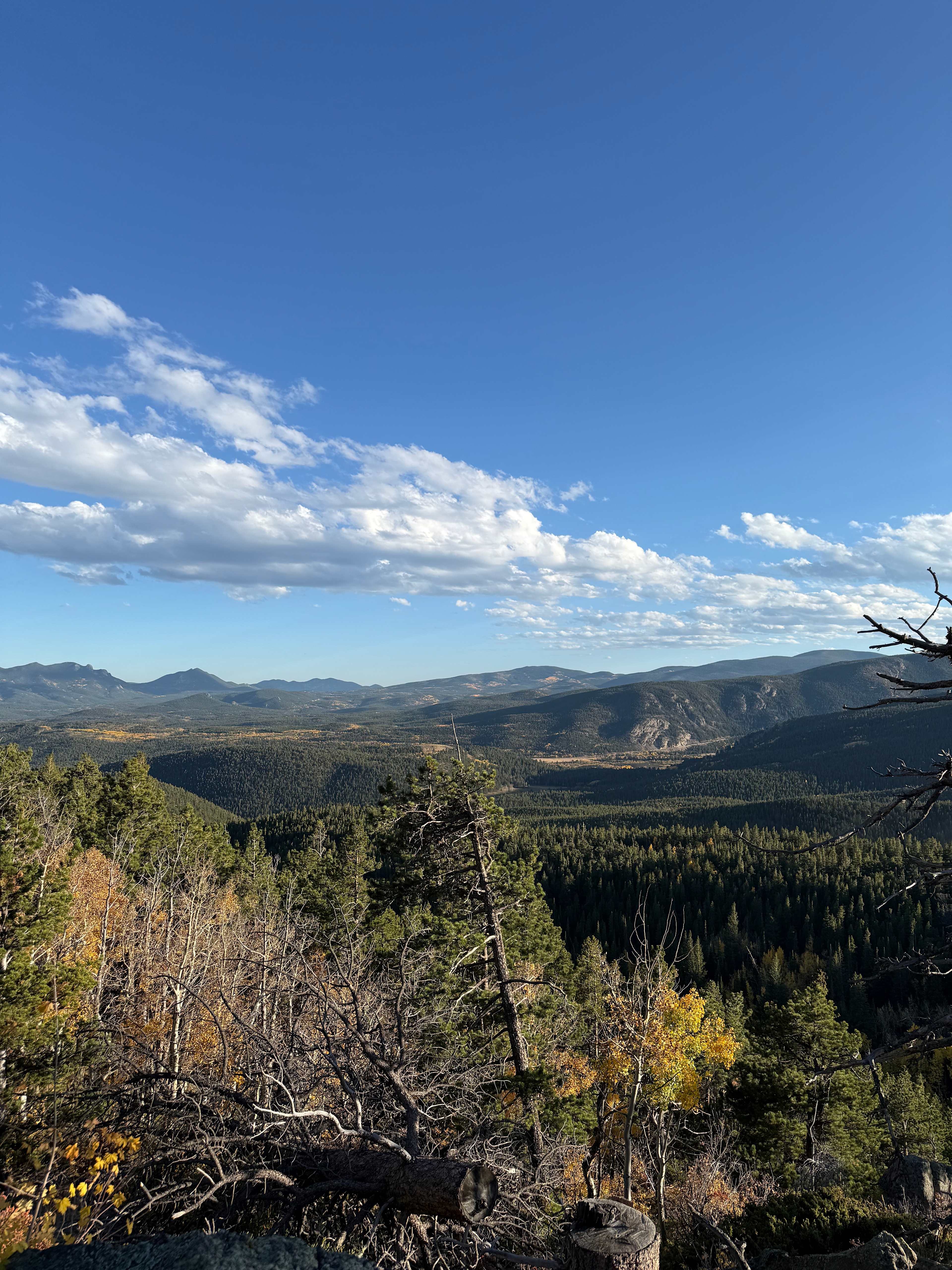 Neverland Camp Wilder