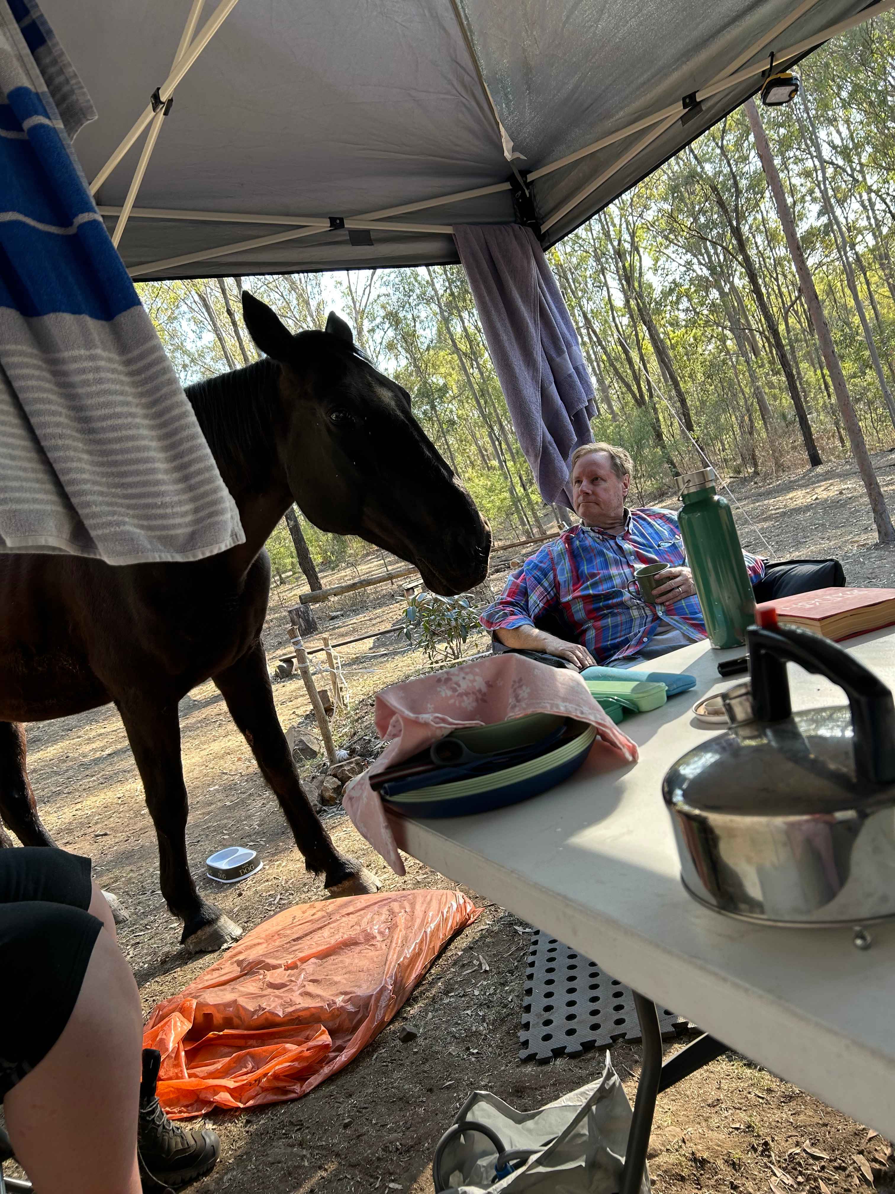 Did someone say breakfast 😂