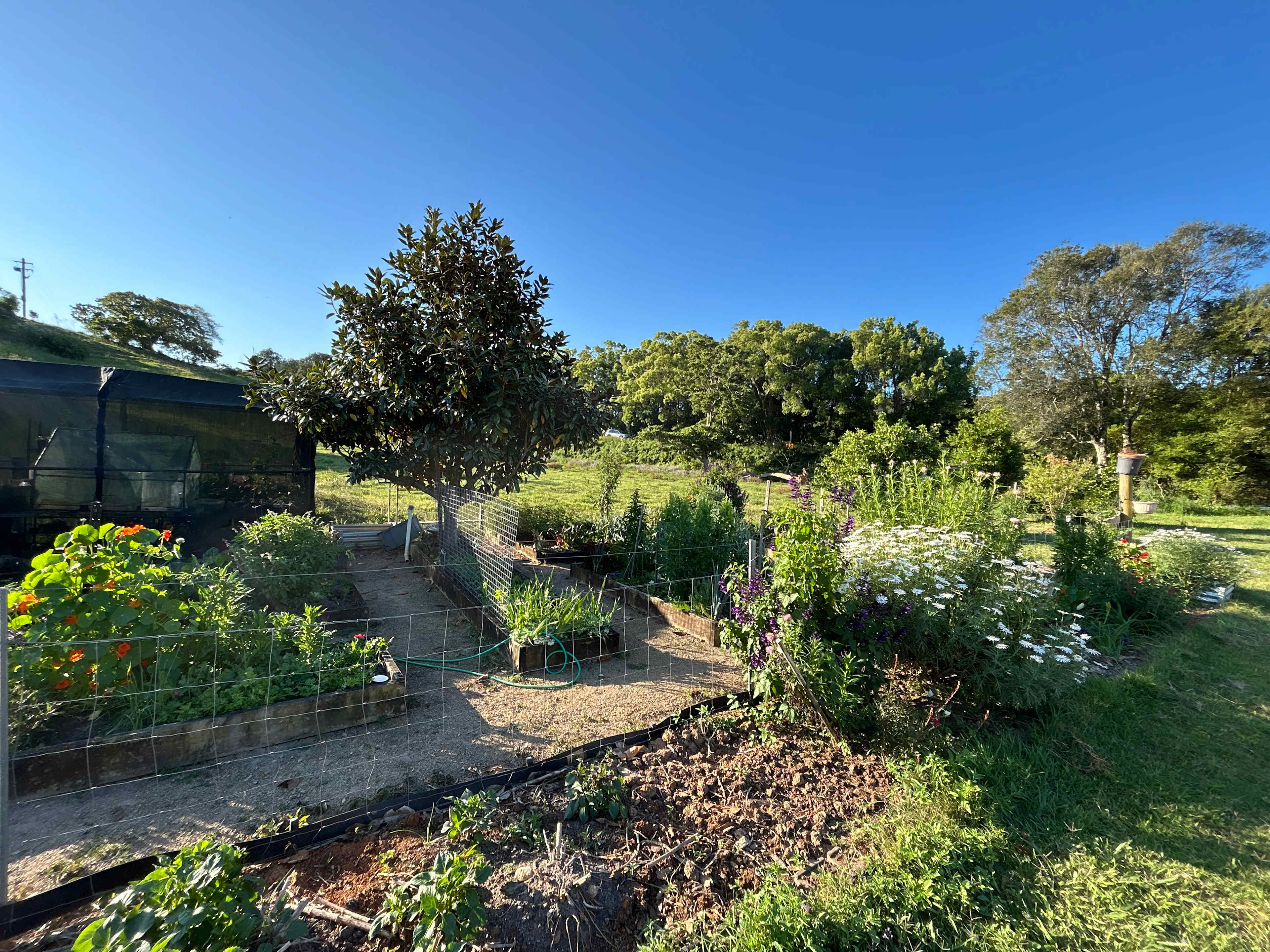 Tweed Valley Farmhouse Cheeses