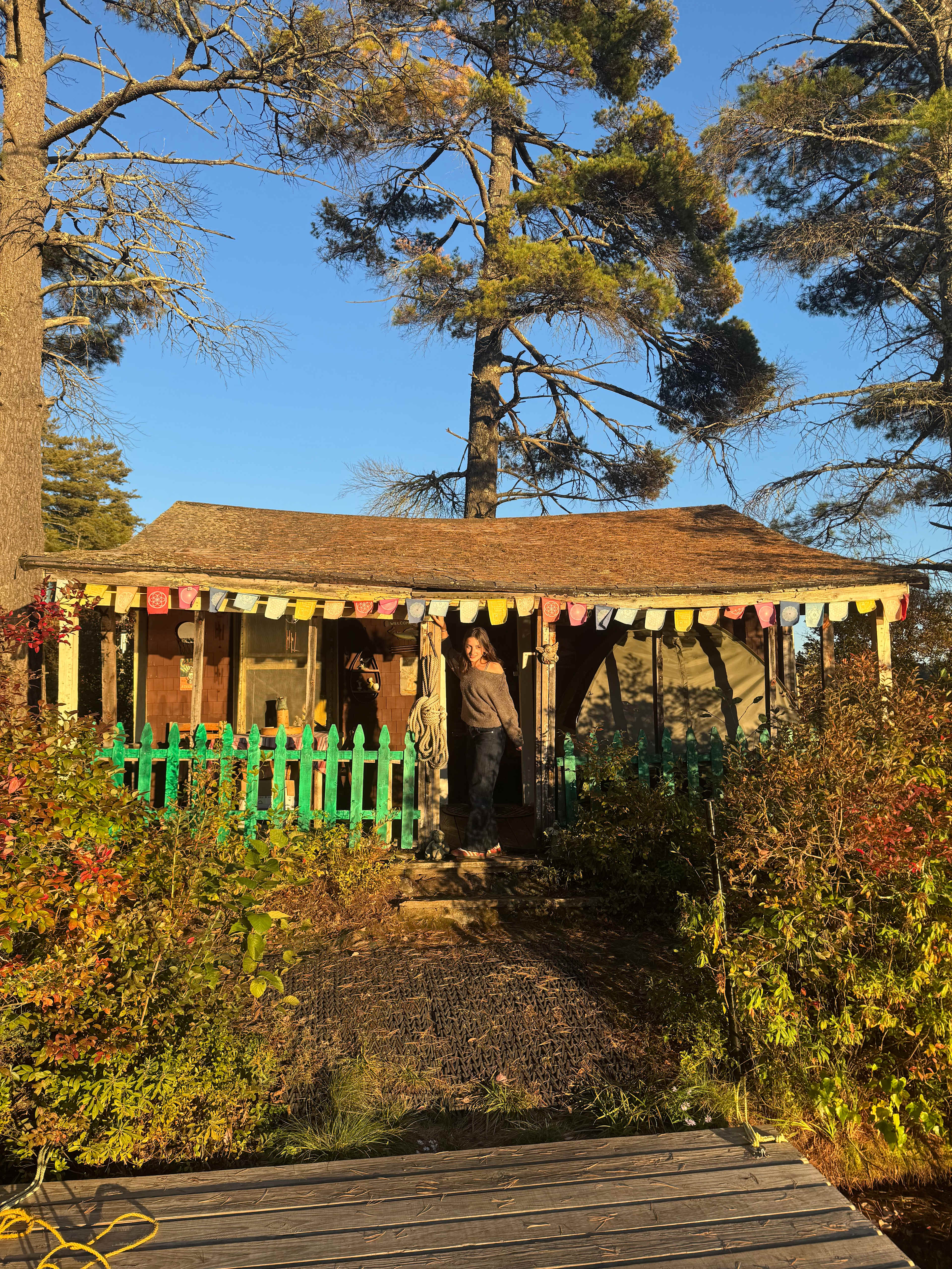 Salamander Hollow Healing Habitat