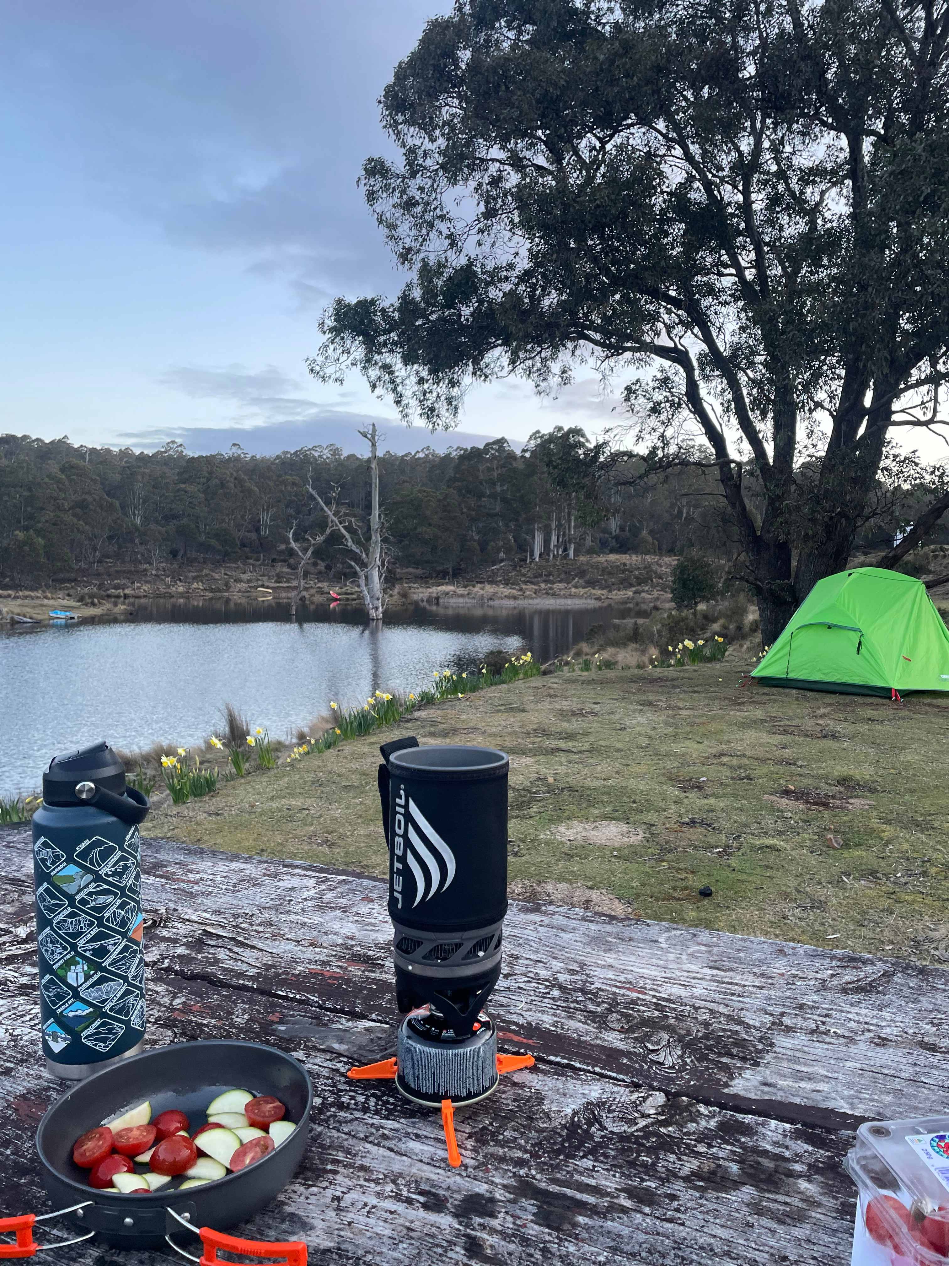Cradle Mountain Fishery and Camping