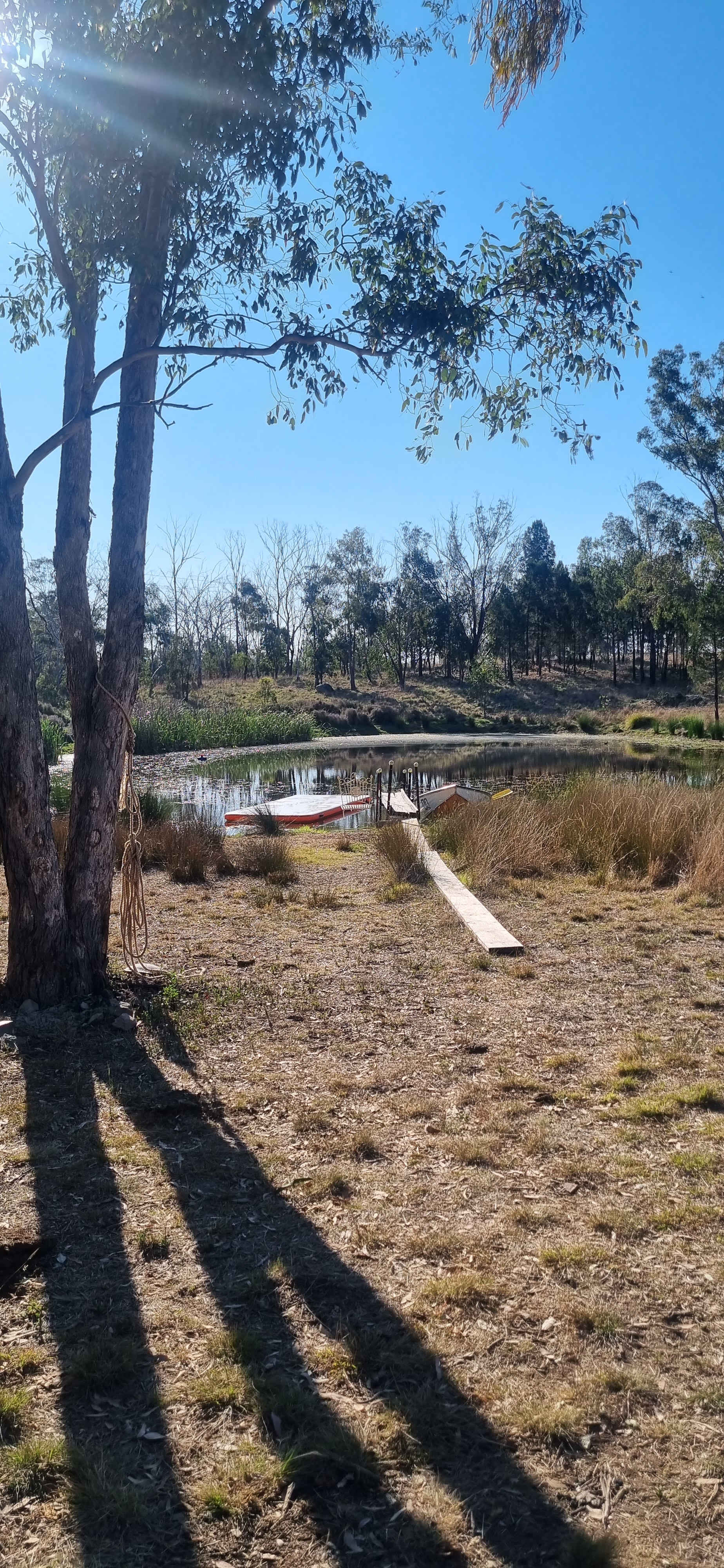 Goldfields-Thanes Creek