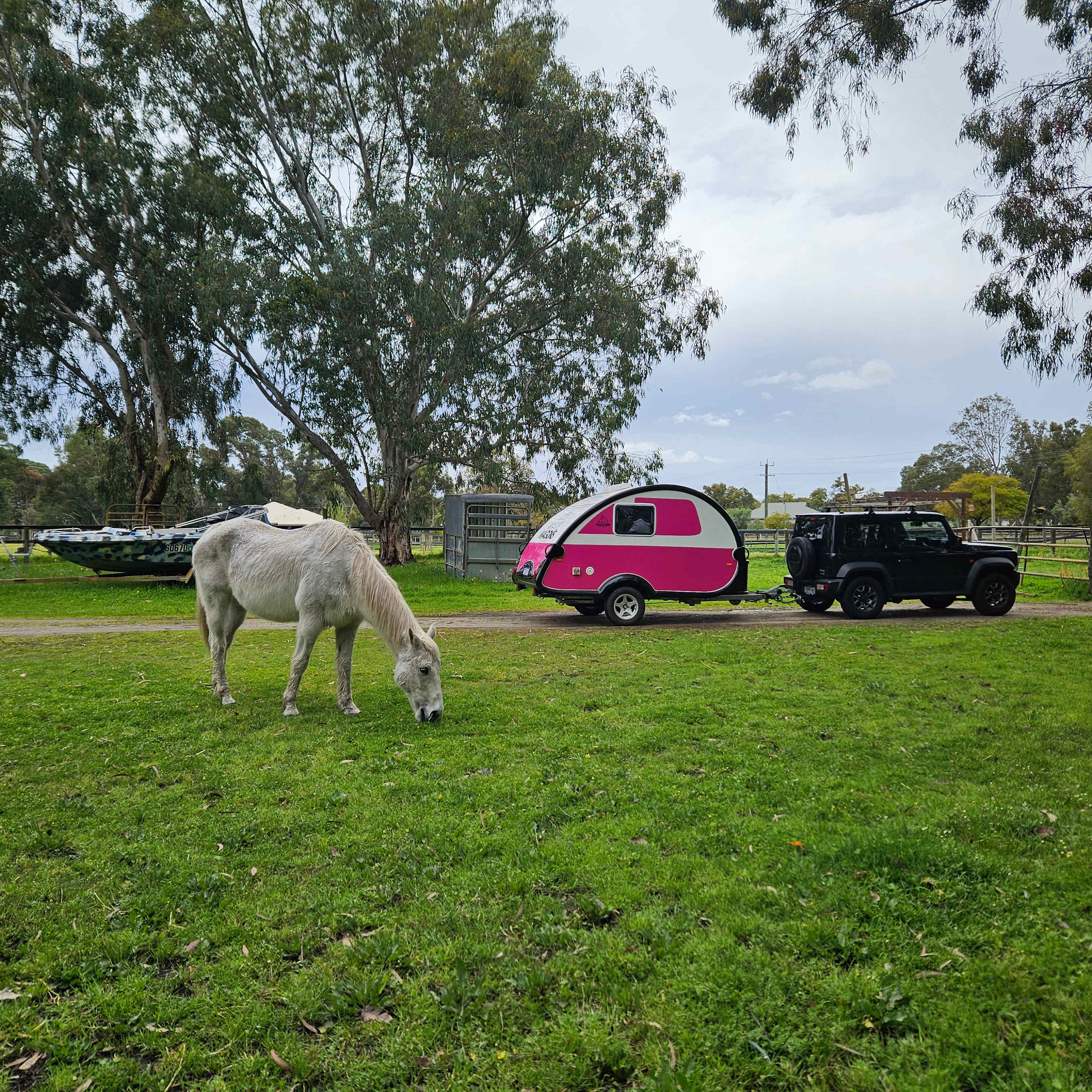 Everything Horses Ltd