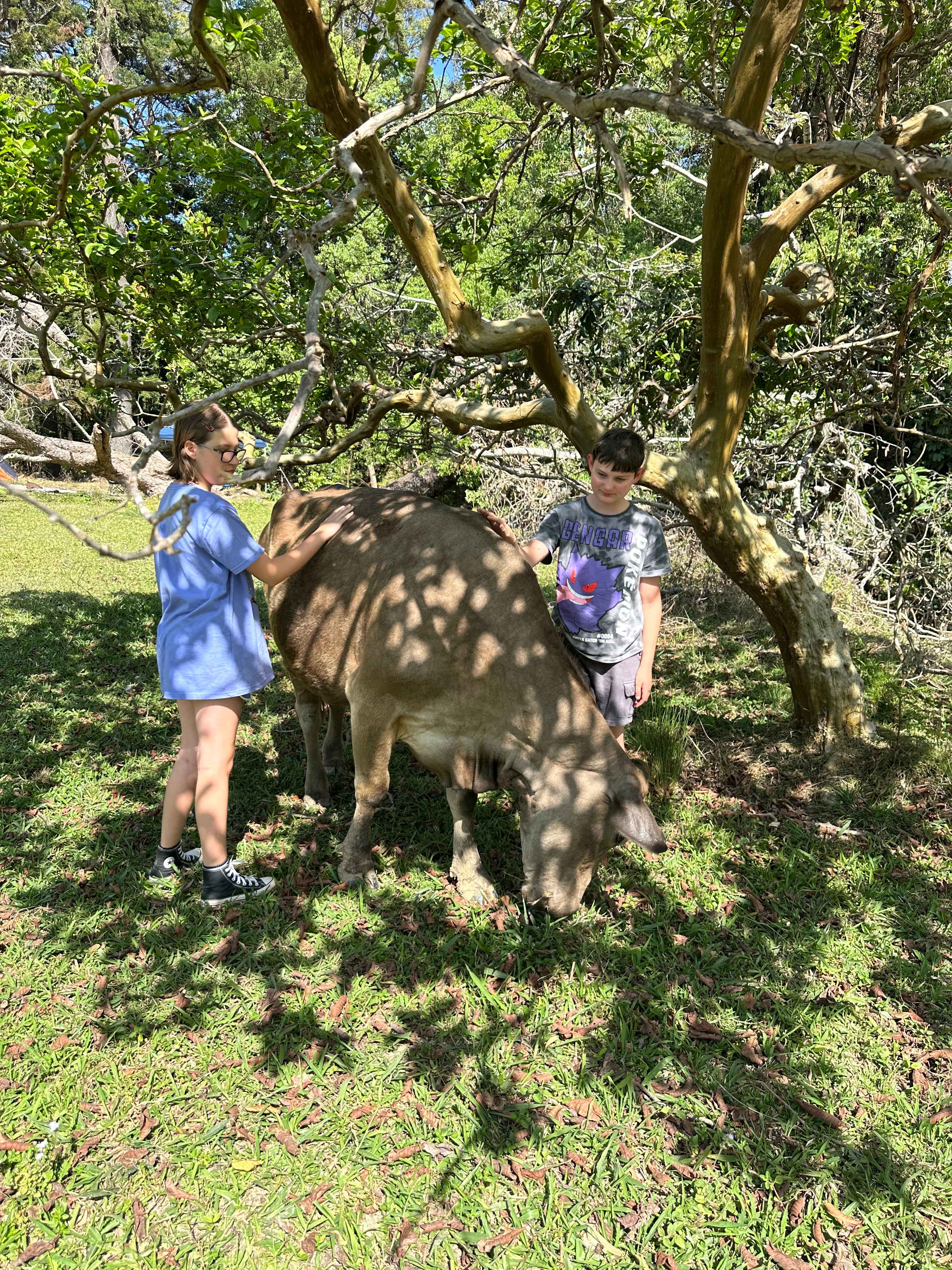 The Sleepy Hollow Manor Estate
