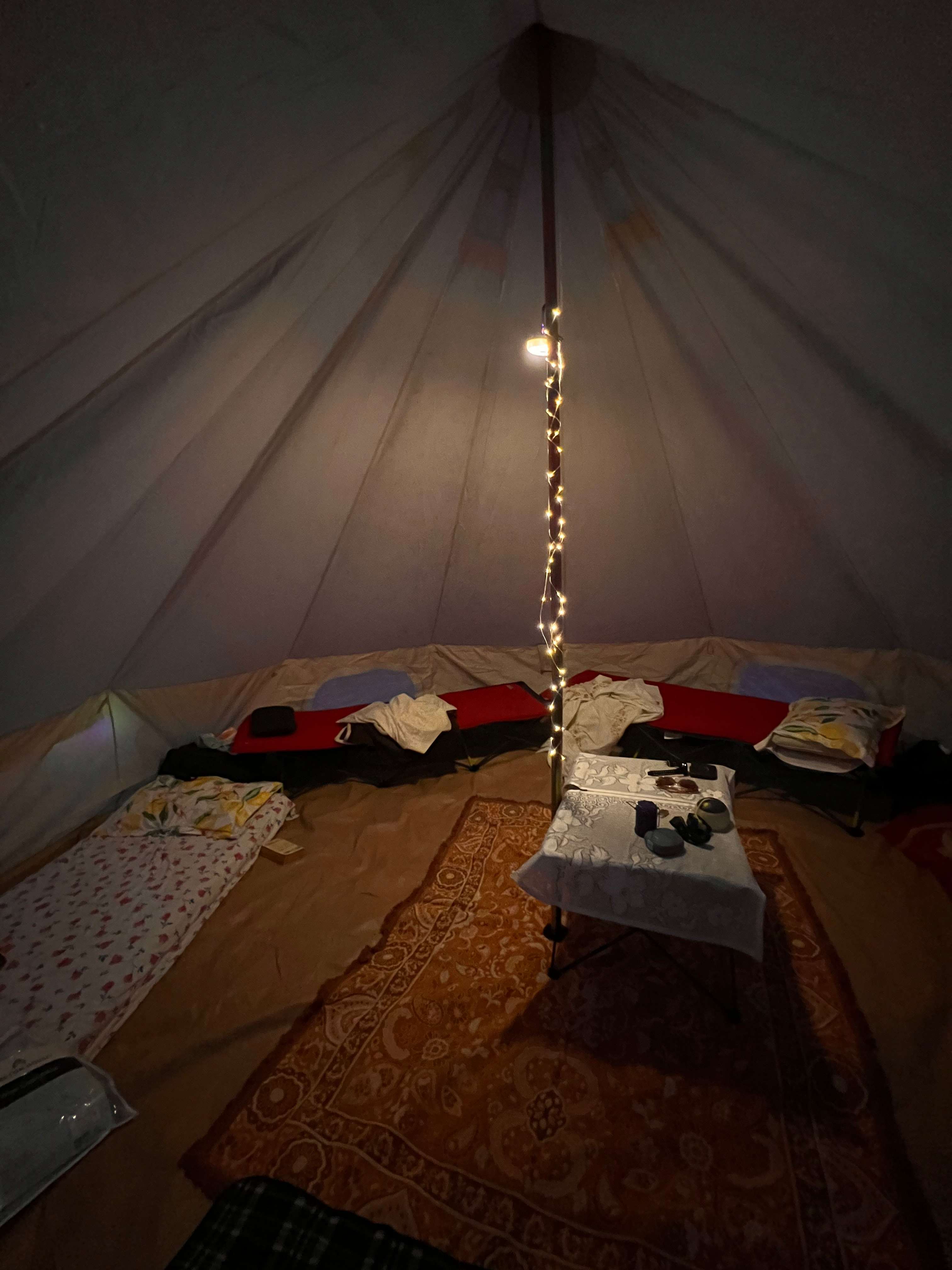 Delhuntie Park -Edens Canopy-