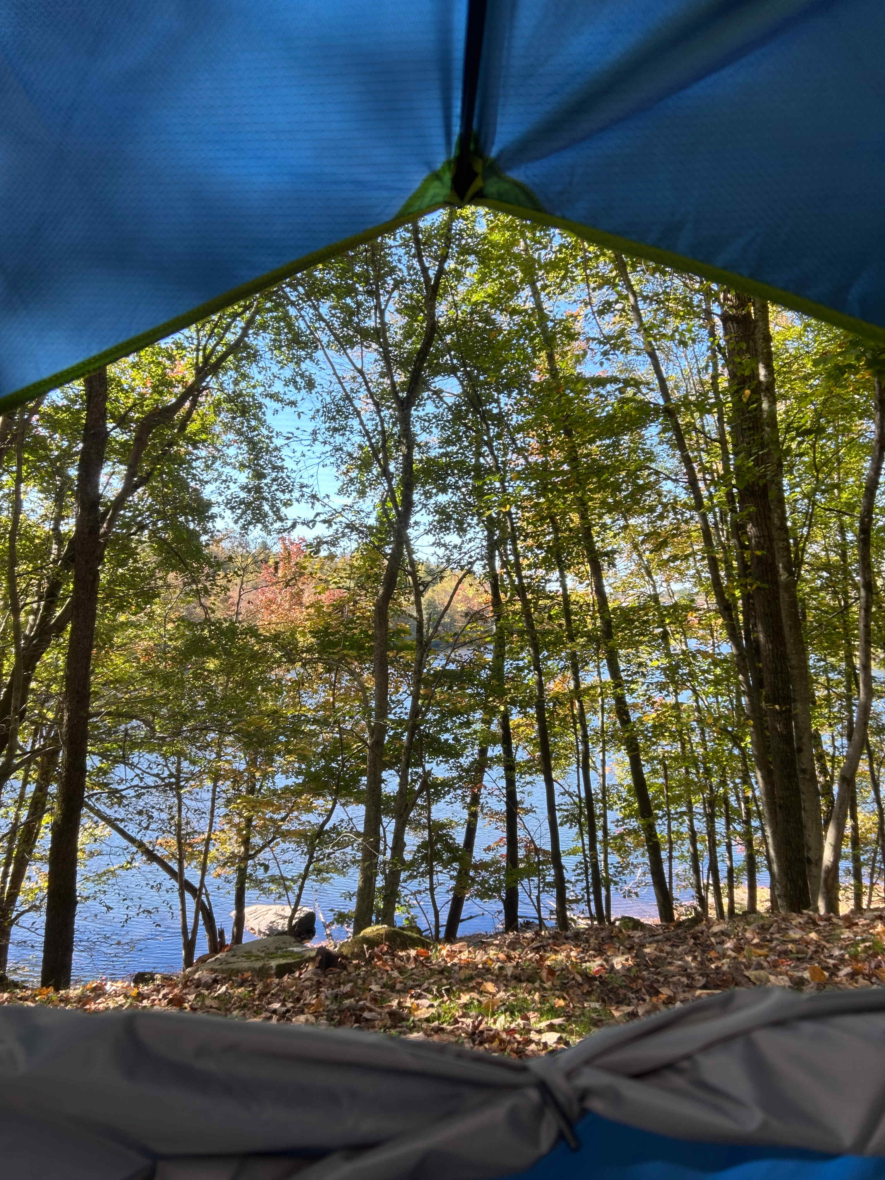 BeaverWood Farm (no children)