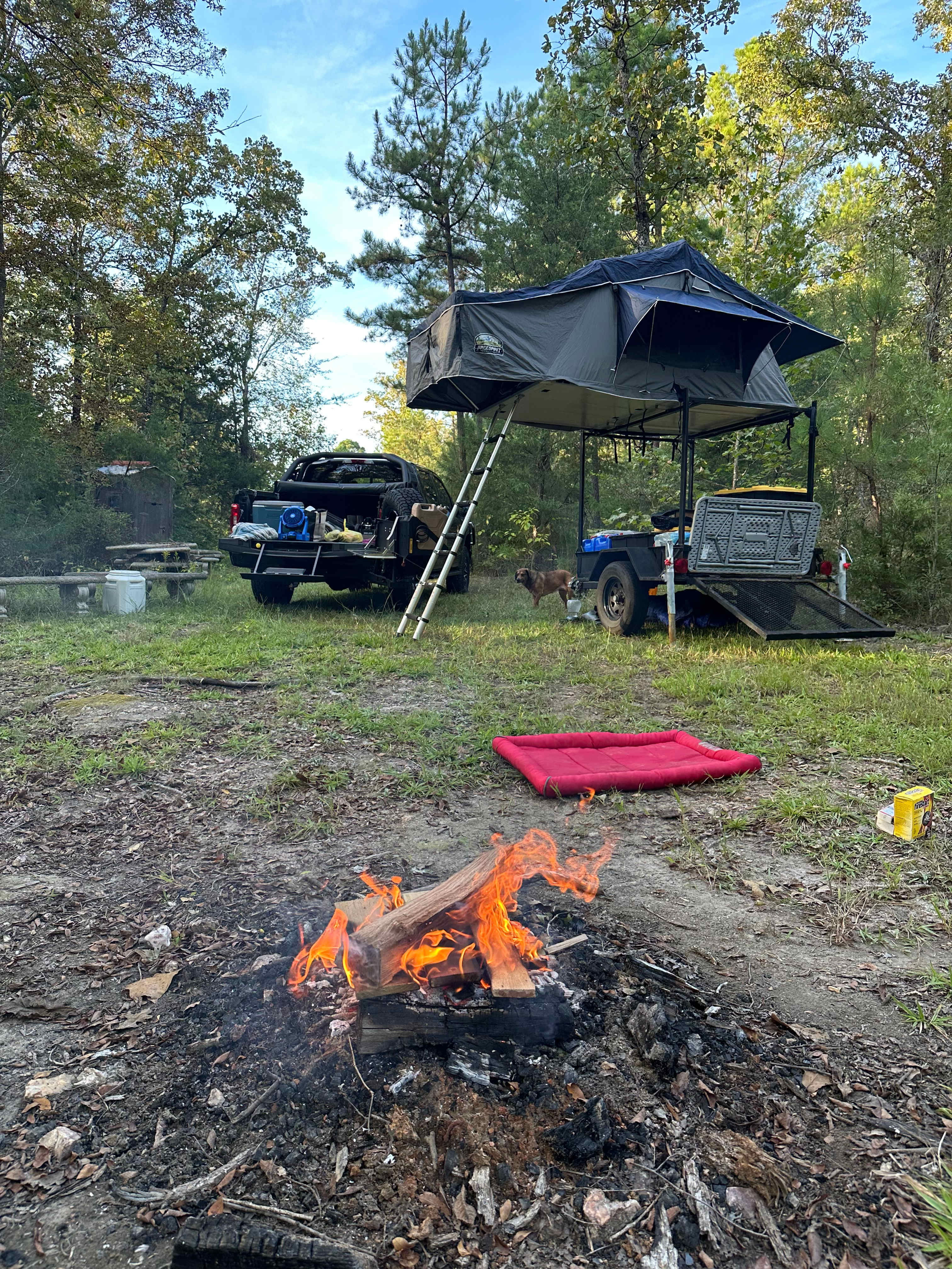 Don't move the rocks! Cozy camp :)