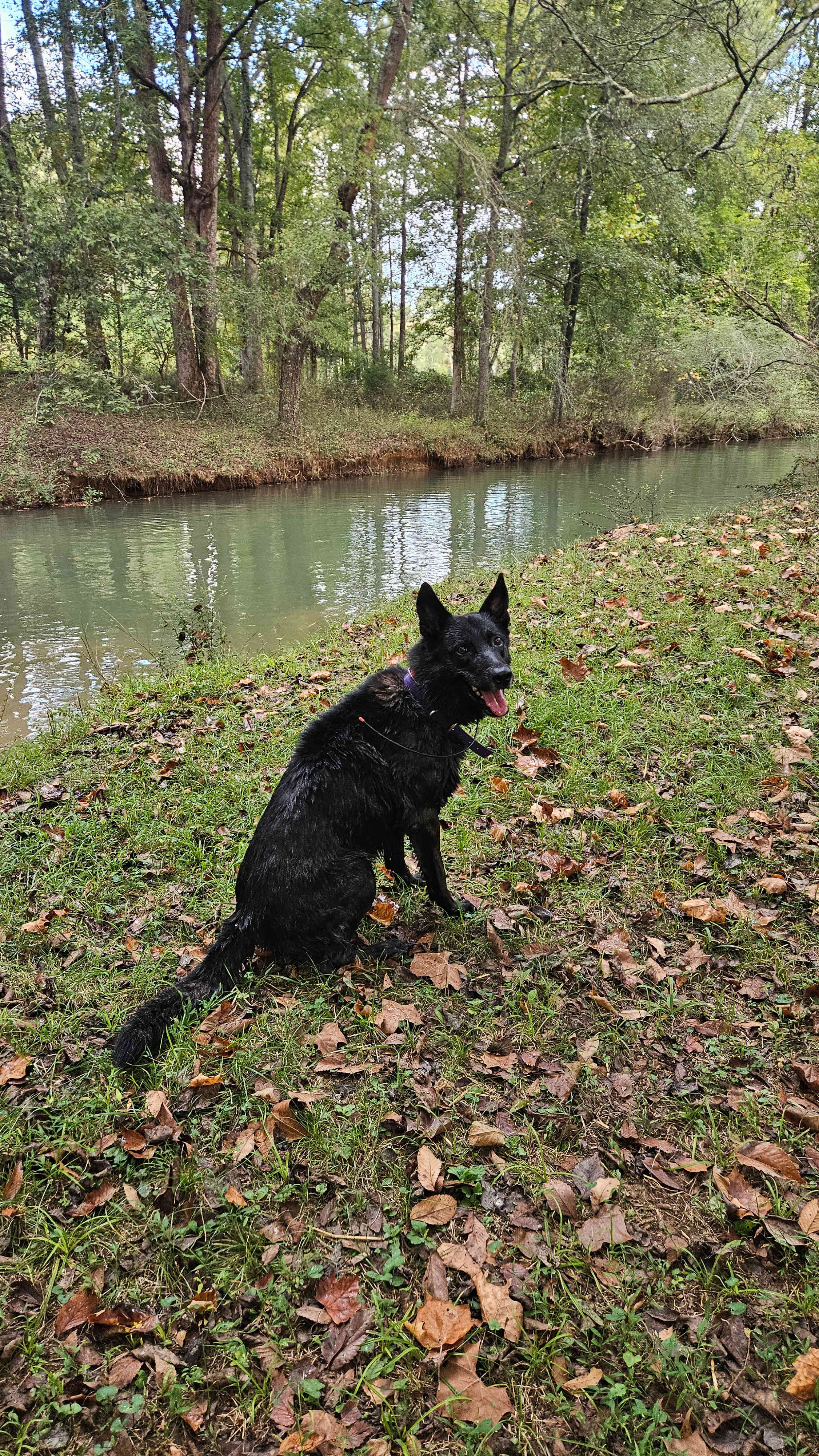 Burton's Beautiful Hollow