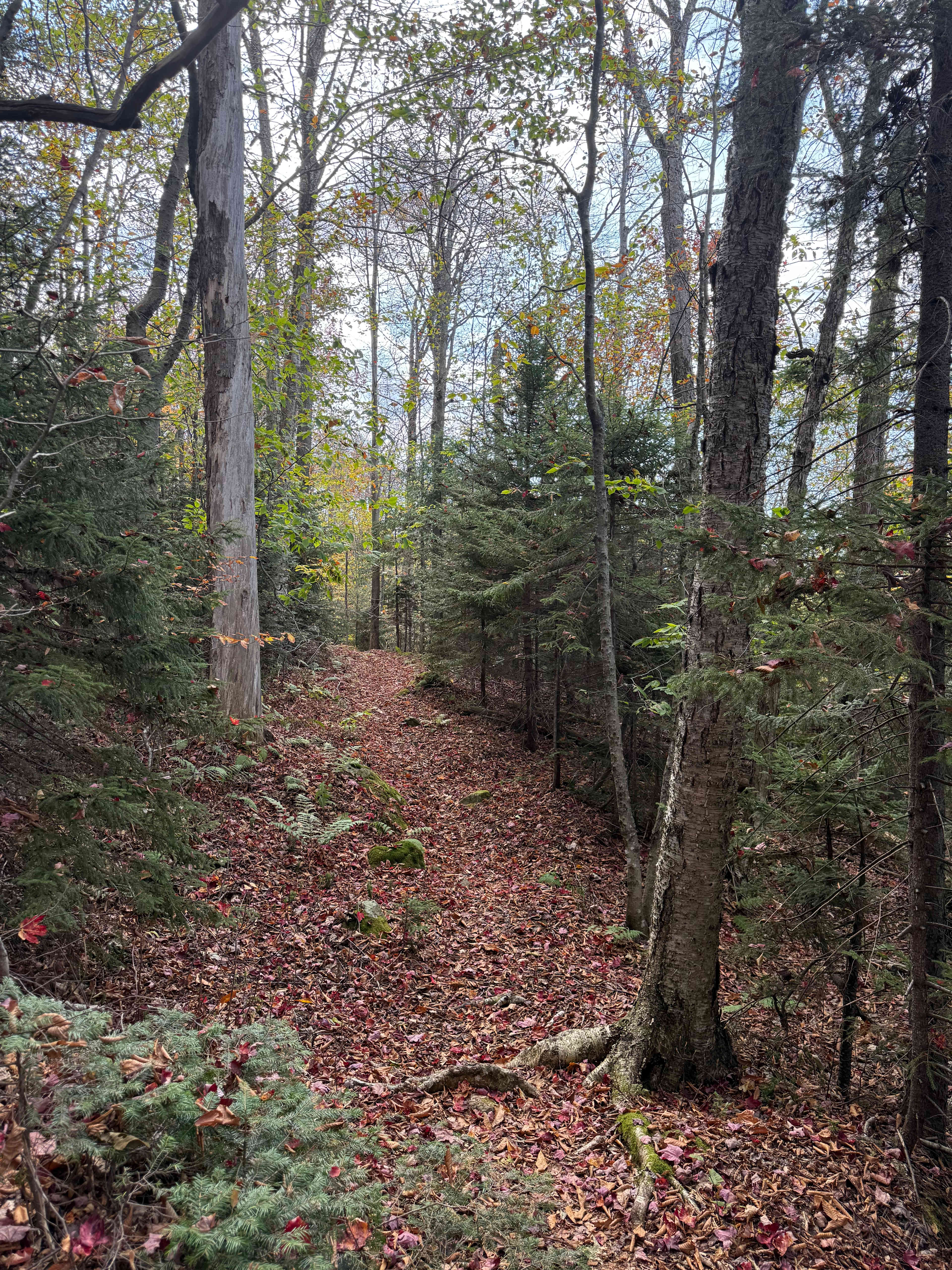 Grateful Acres Vermont