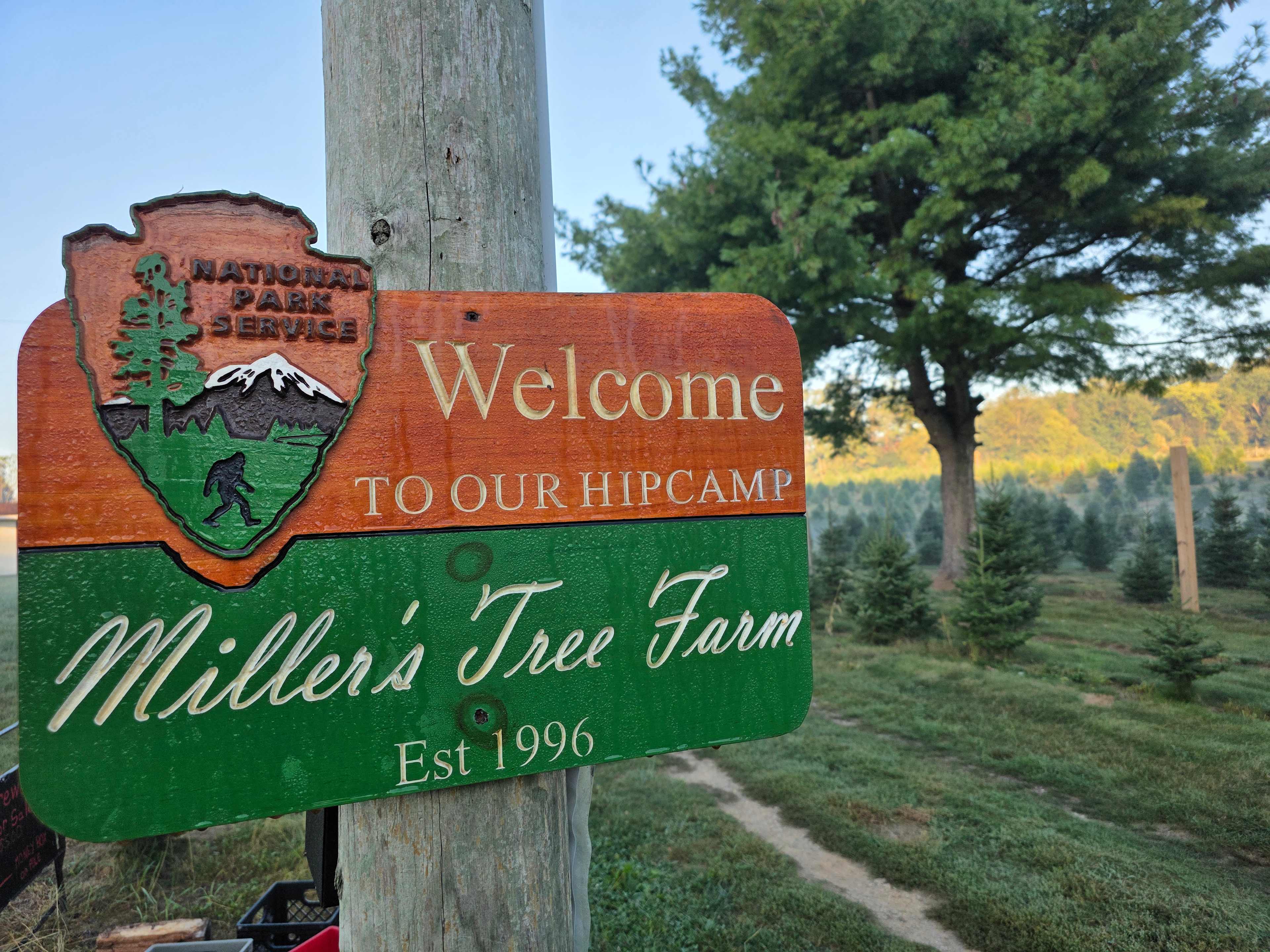 Christmas Tree Farm with Views