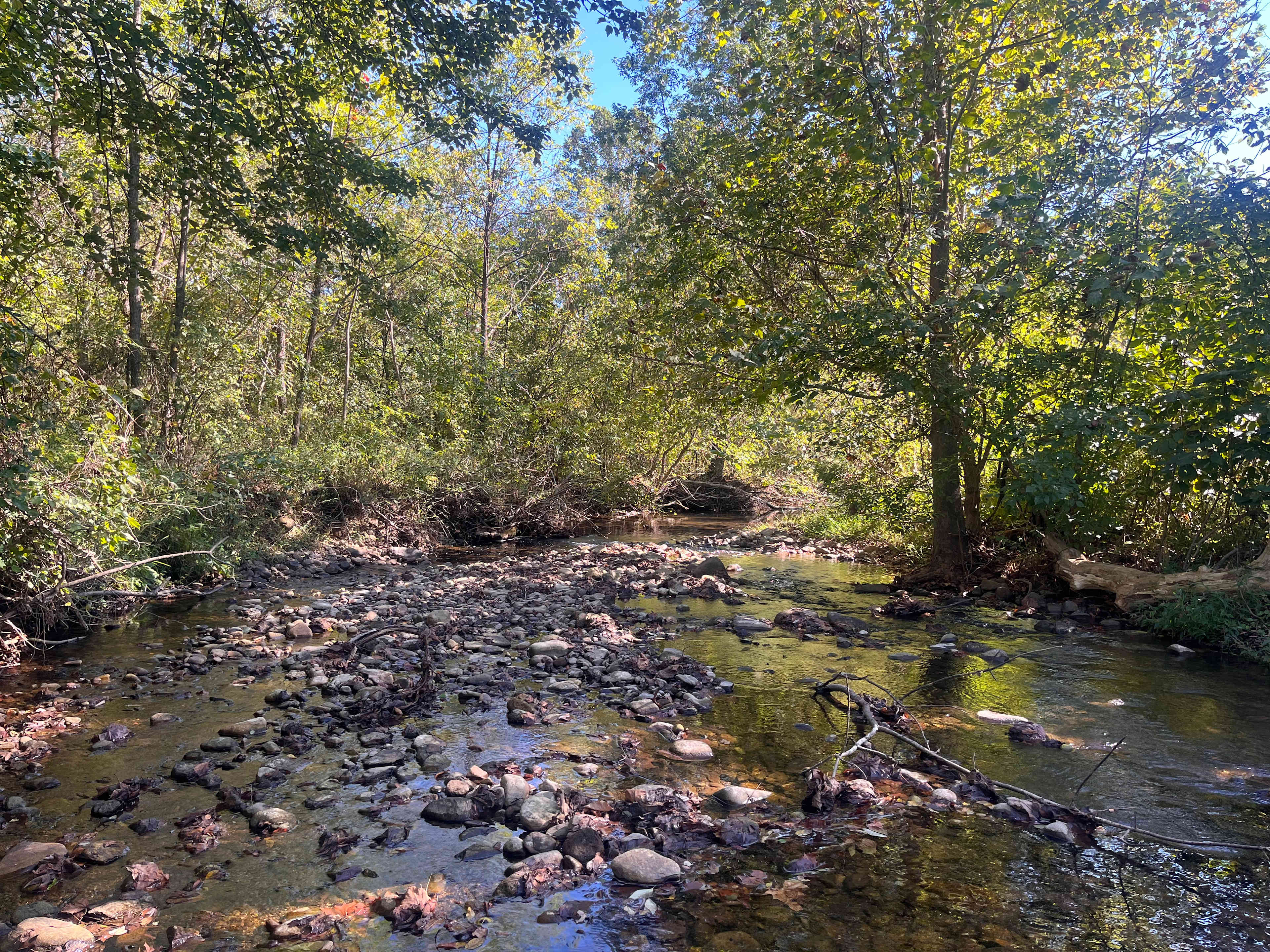 Stoney Creek Campground
