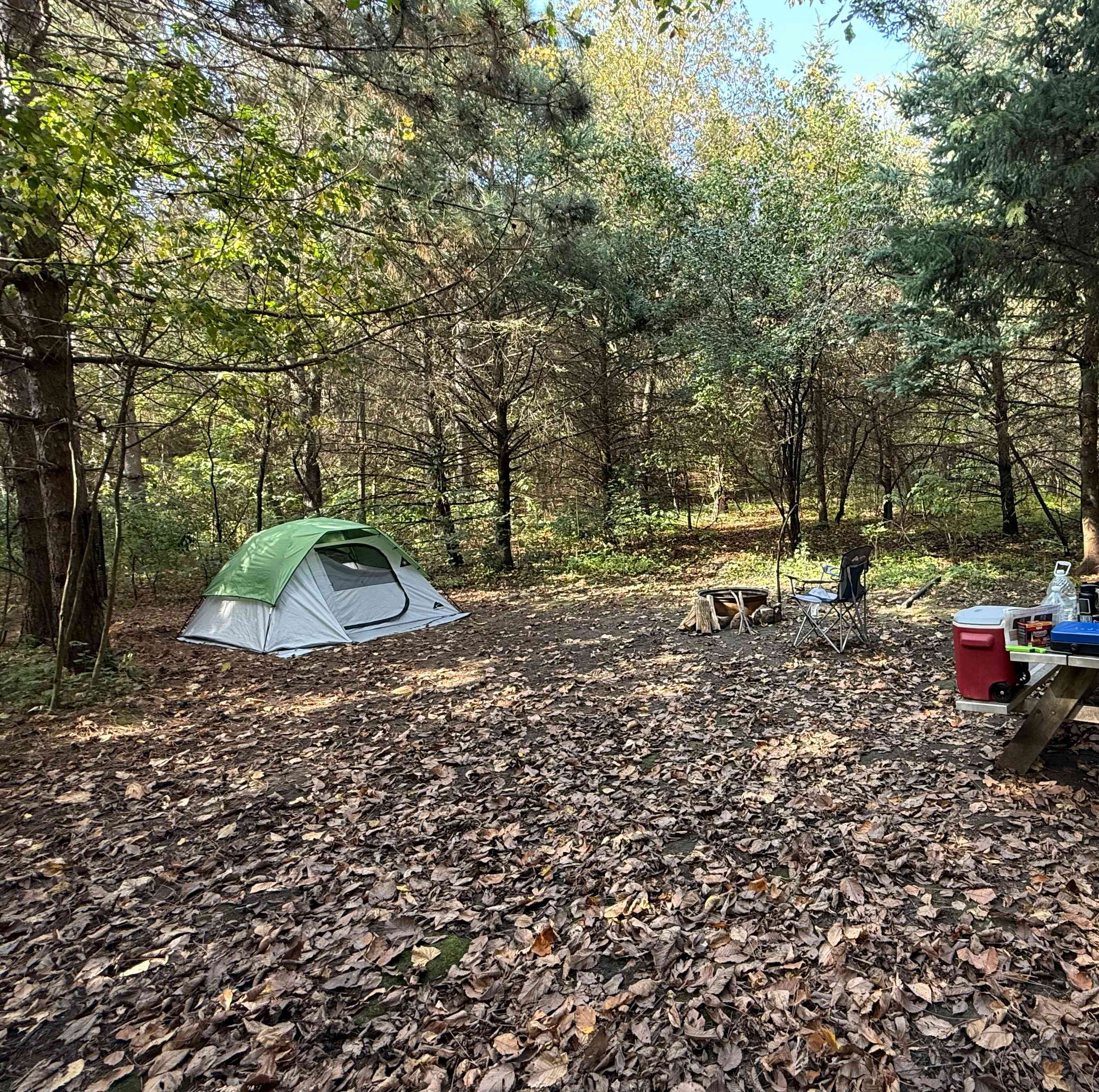 Prairie Creek Campground