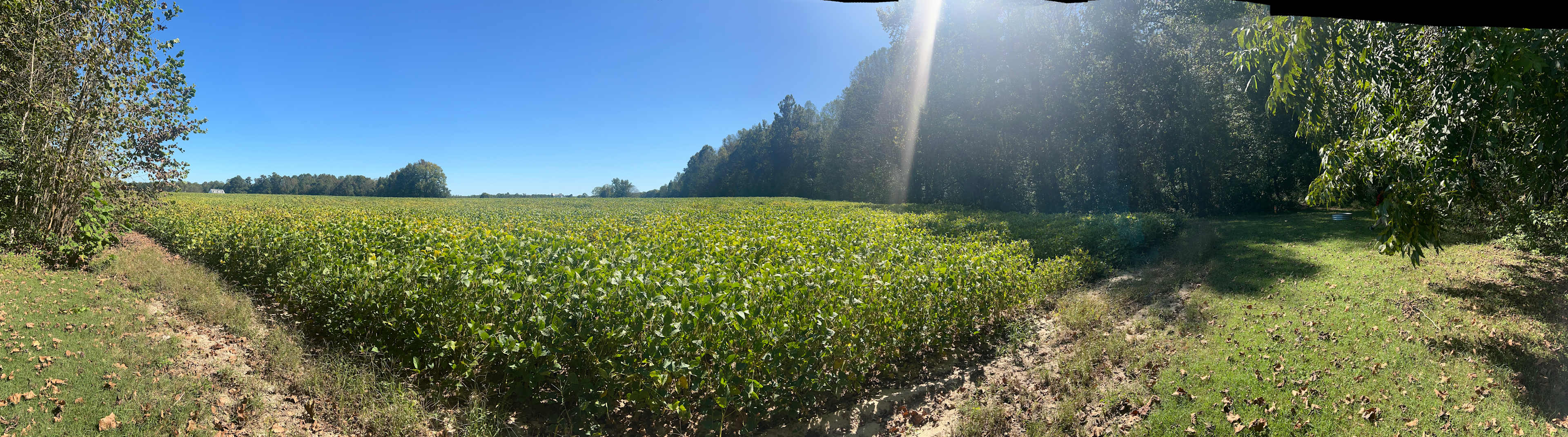 Solitude at Thornton Farm