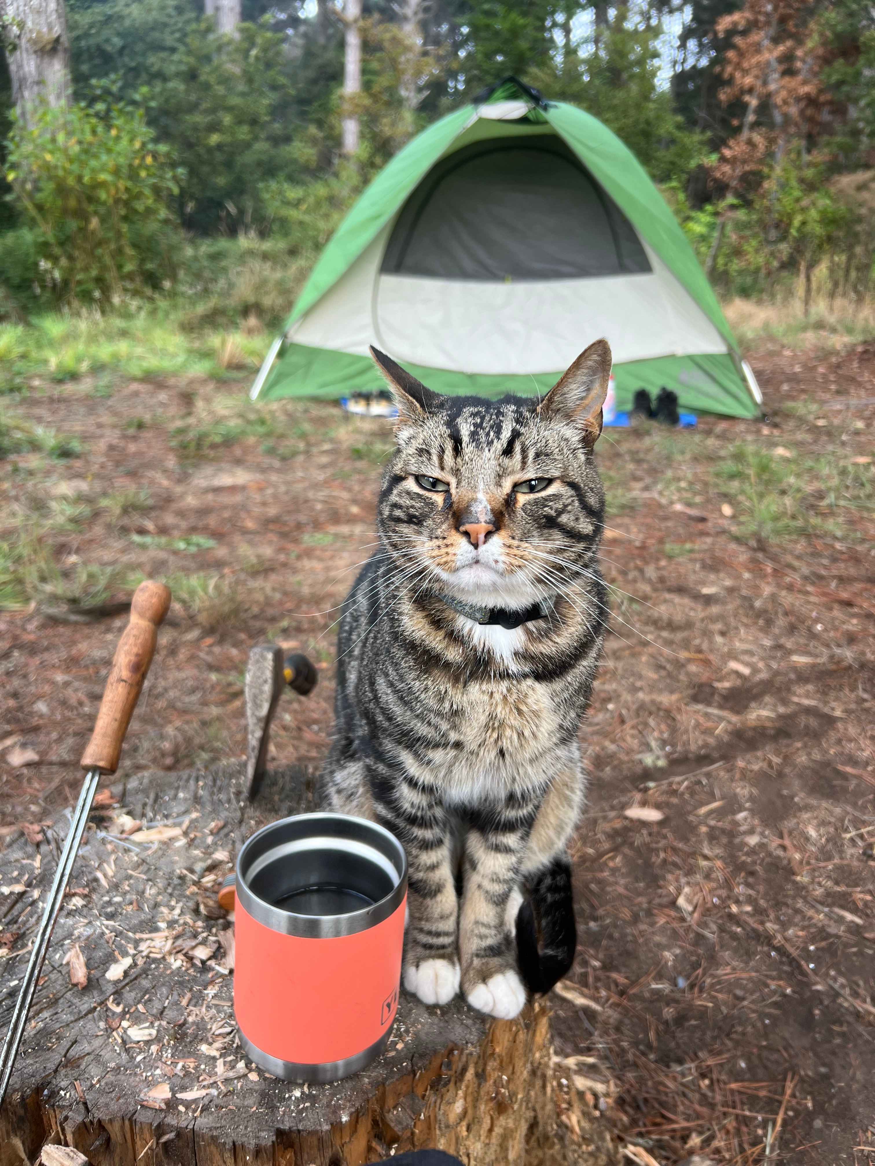 Jug Handle Creek Nature Center