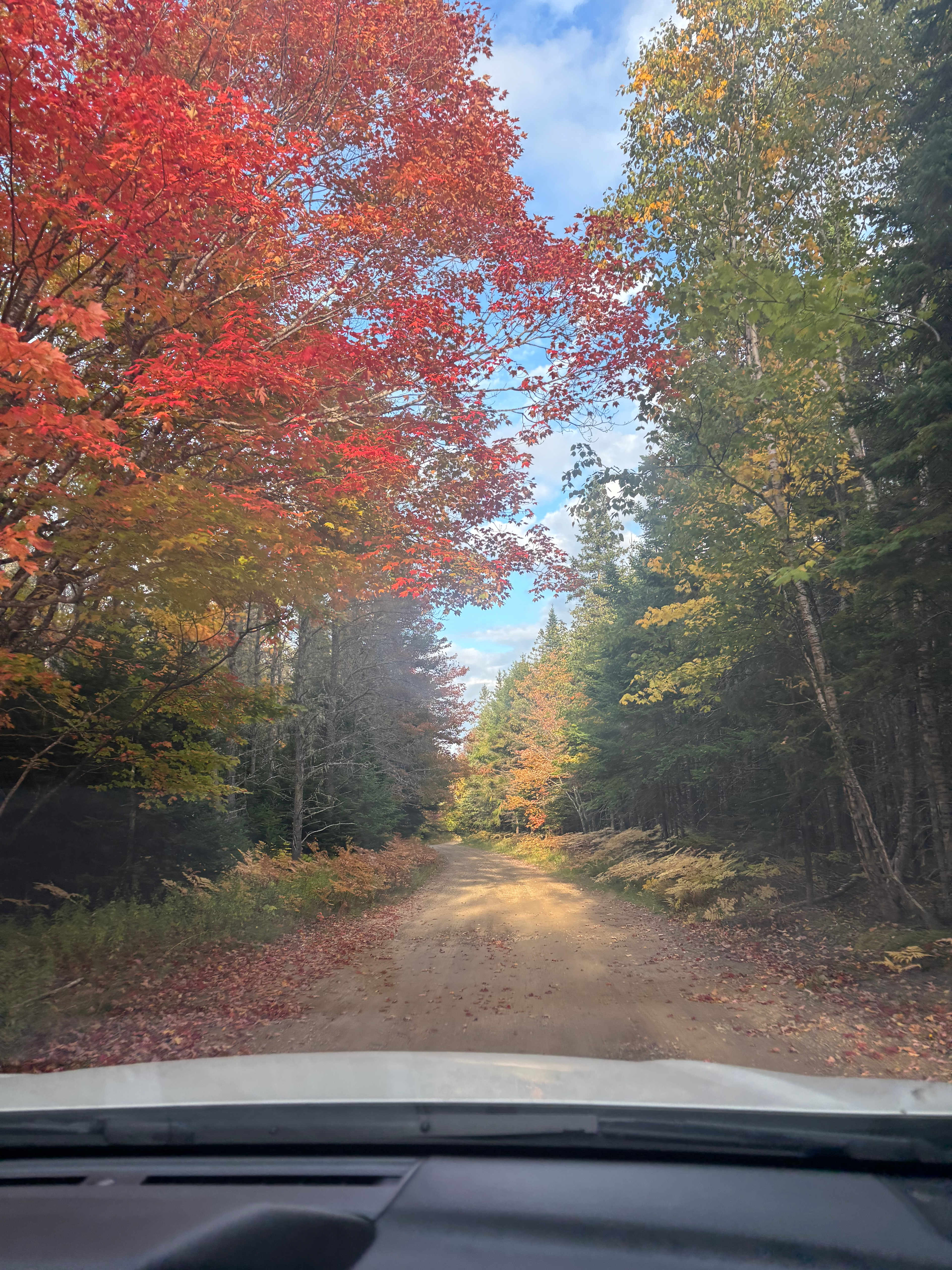 Fainne Crann Camping