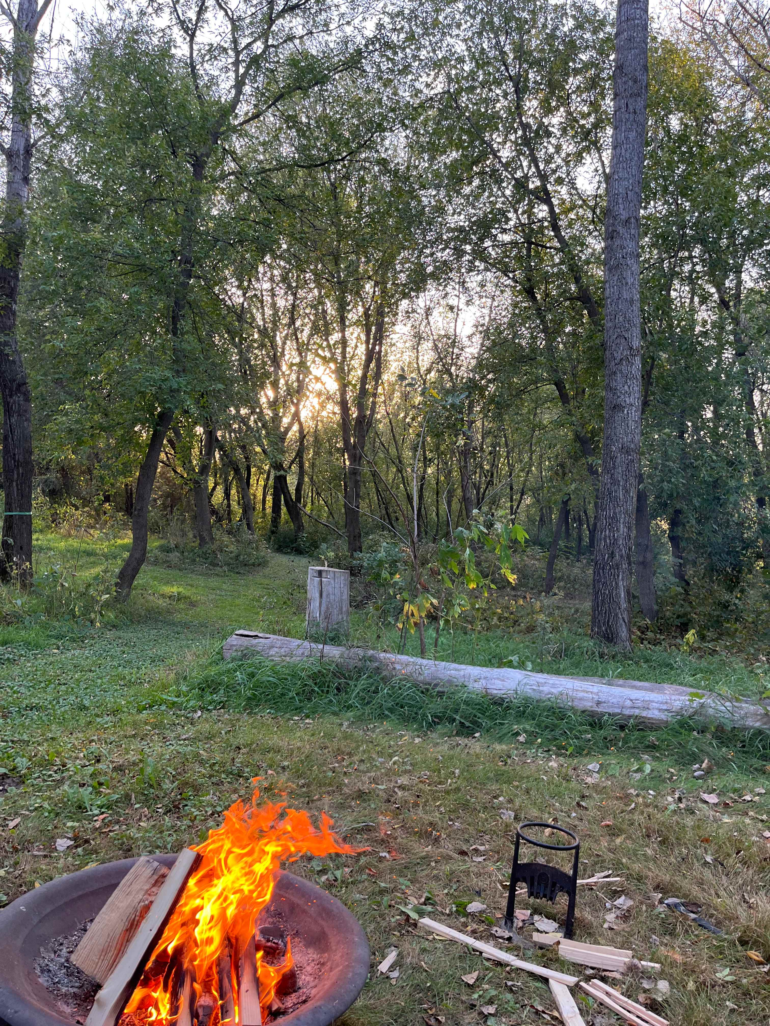 Honeyberry Minnesota working farm