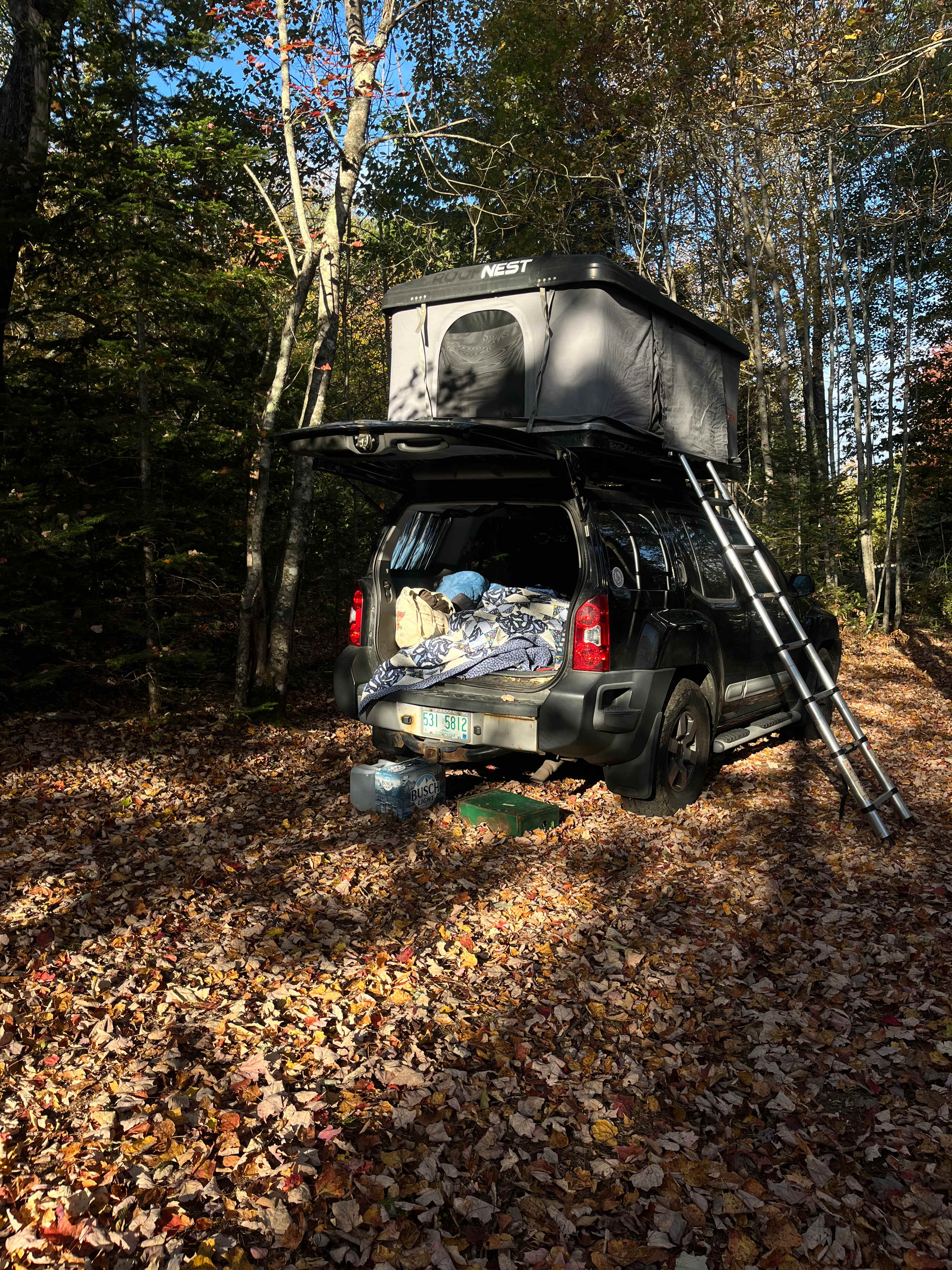 Peninsula Links Campsite