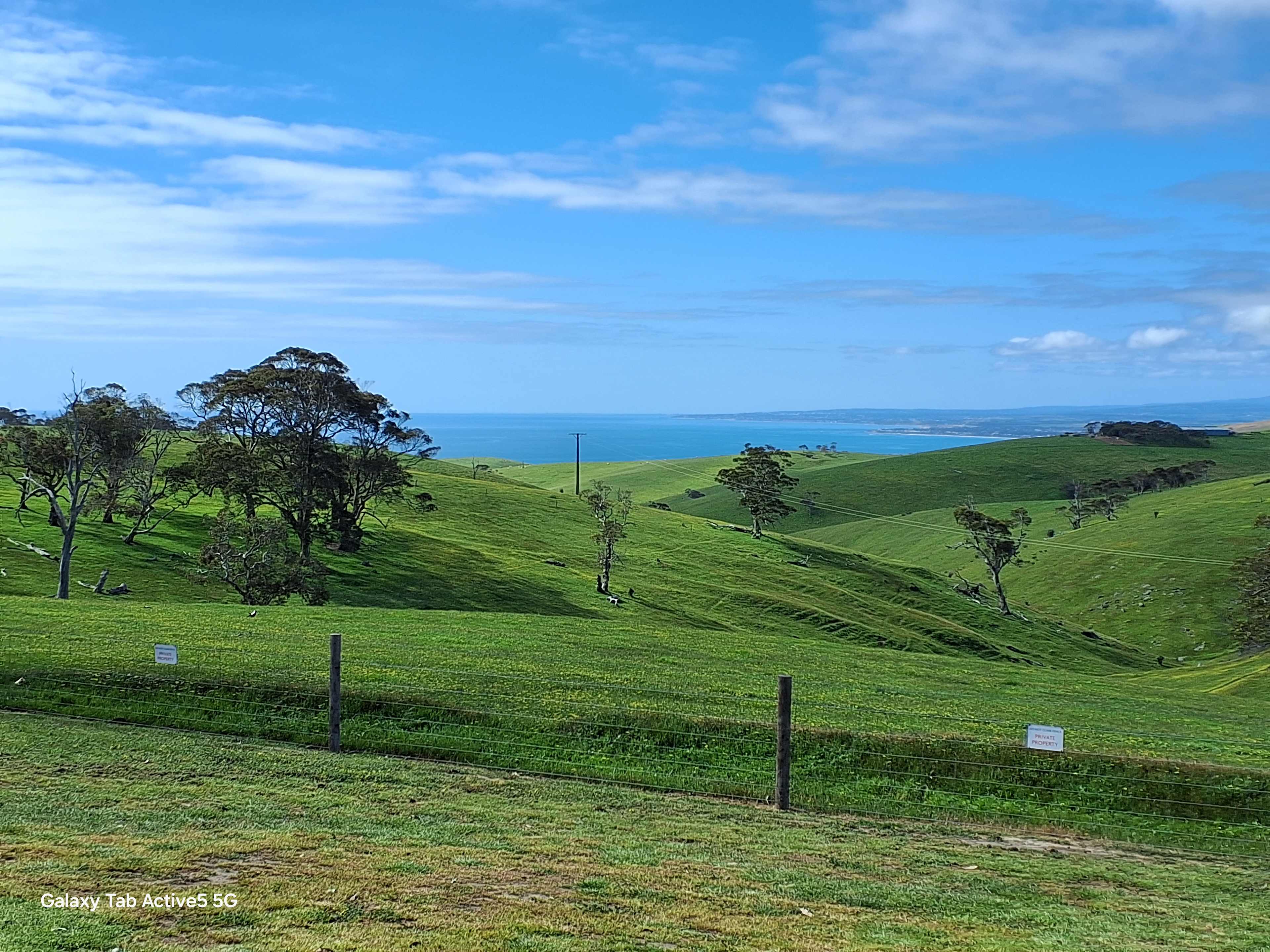 Koala Coast Retreat Farm