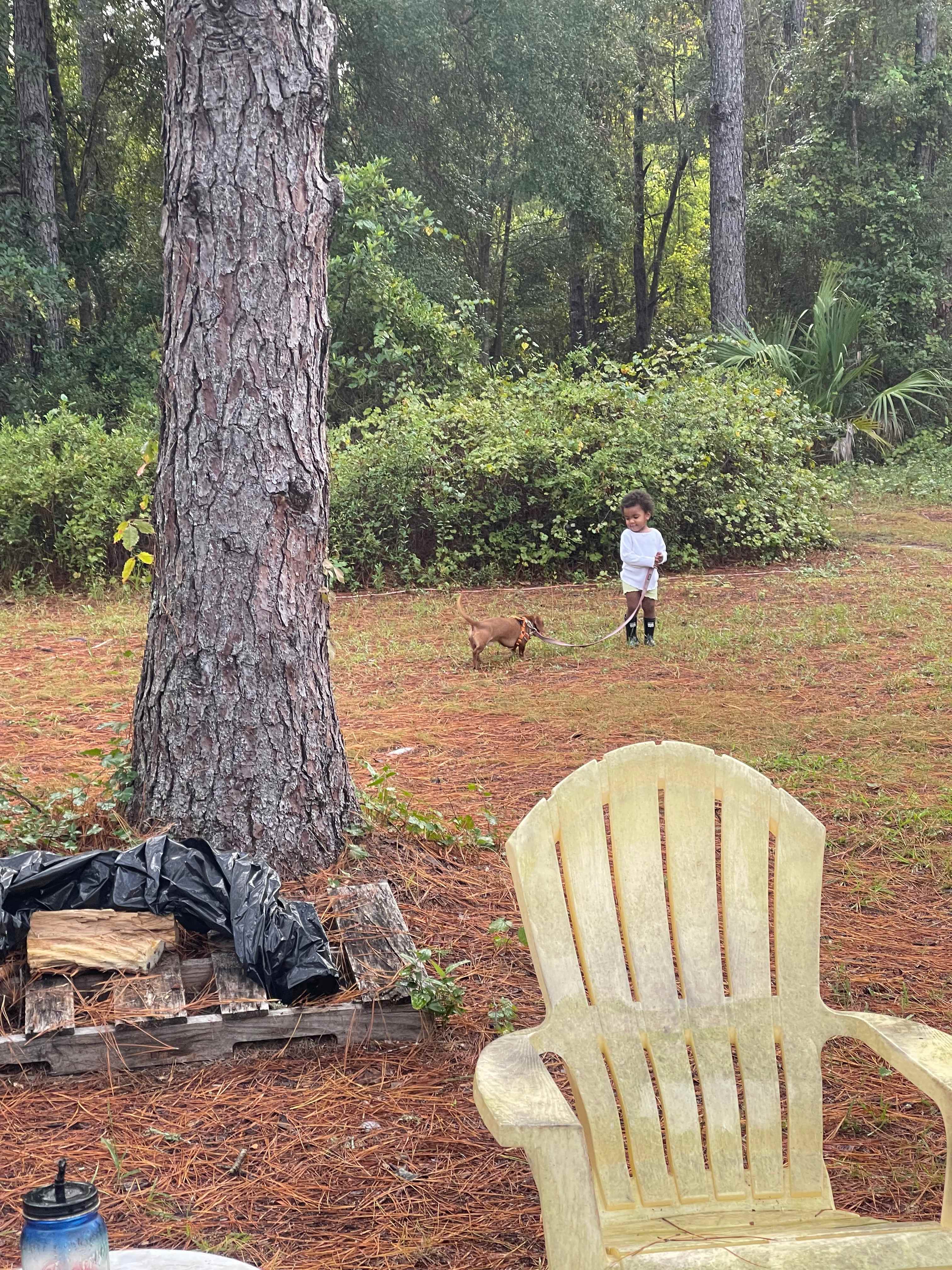 Enjoying nature and our Tito getting a walk