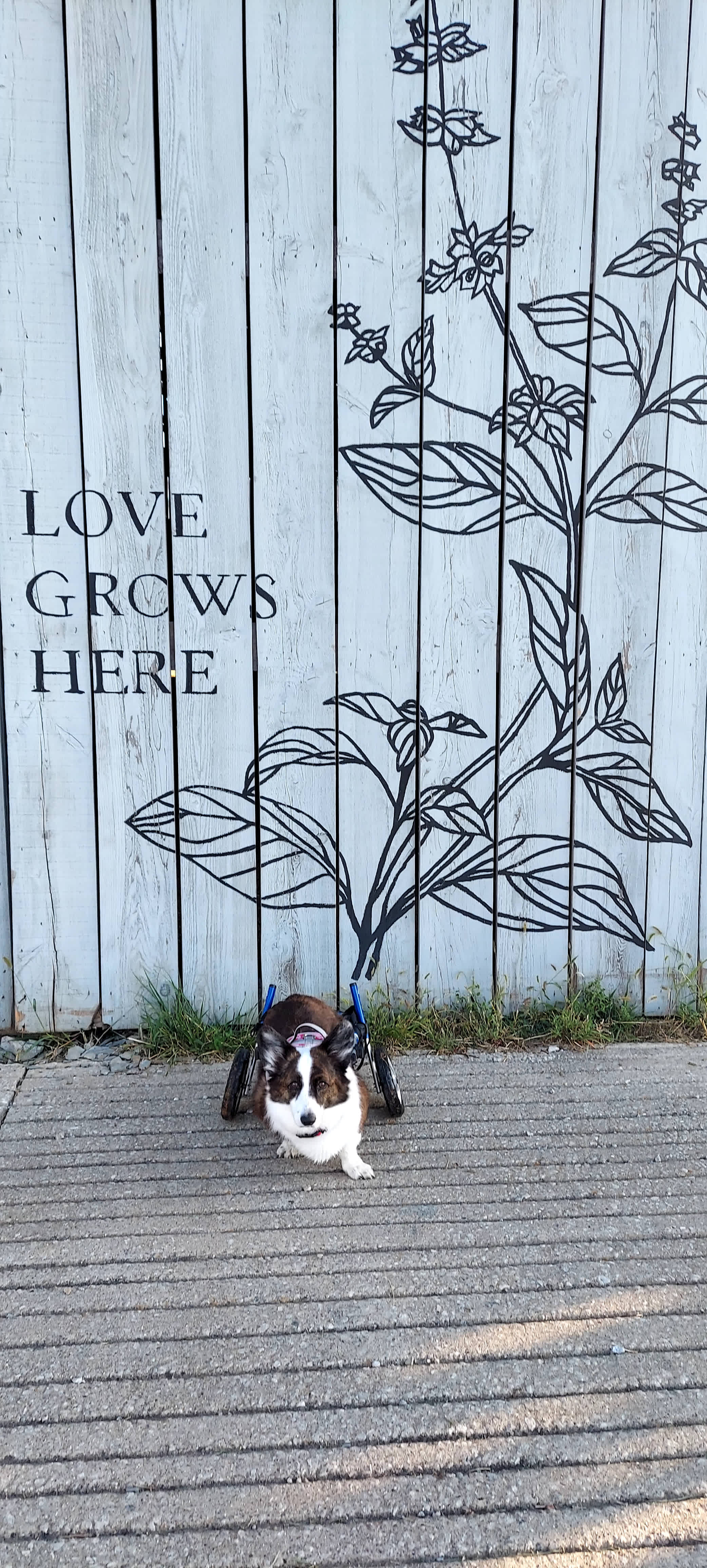 HAYMARK FARMSTAYS Private RV Sites