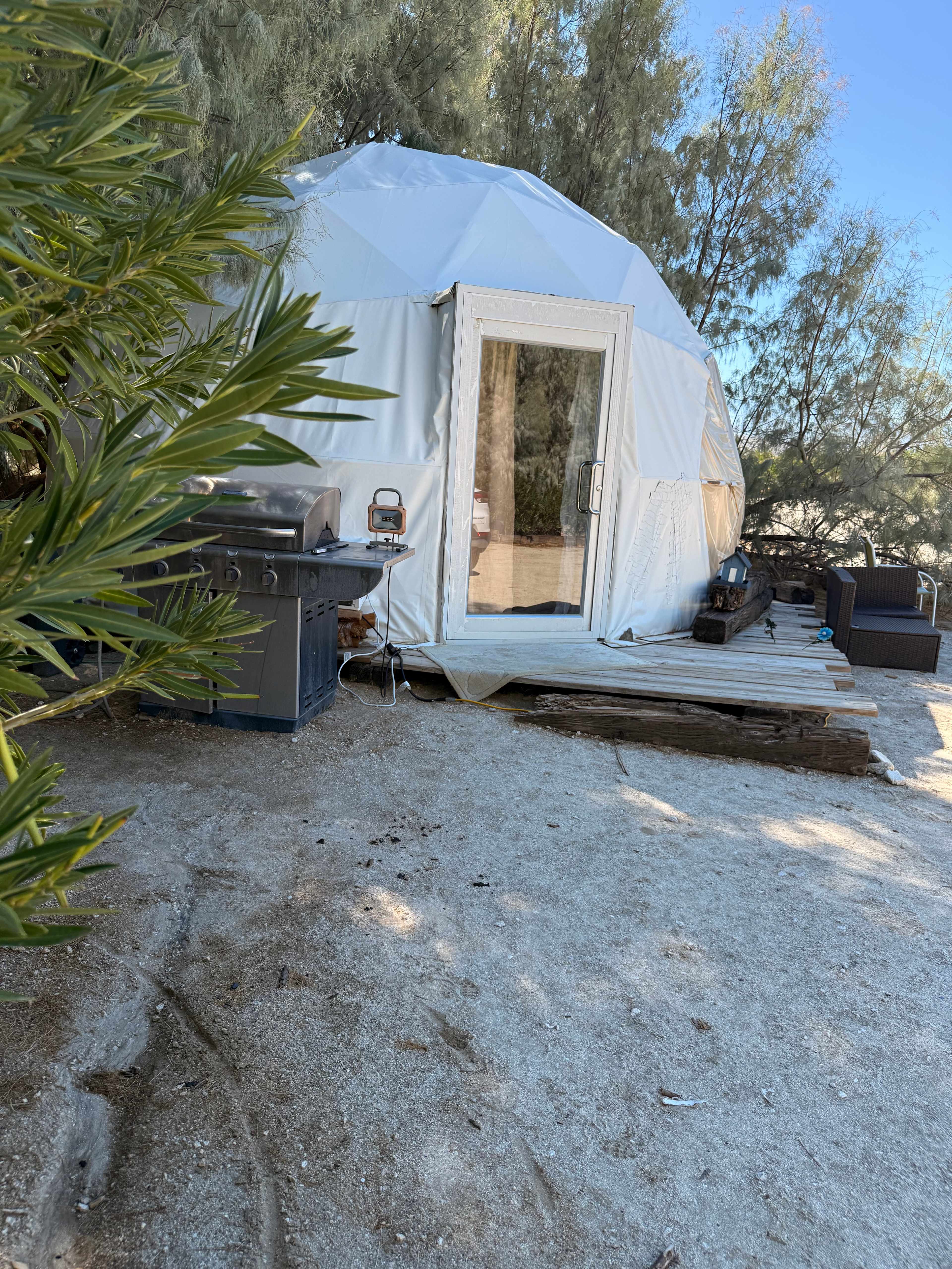 Mineral Spring Date Farm