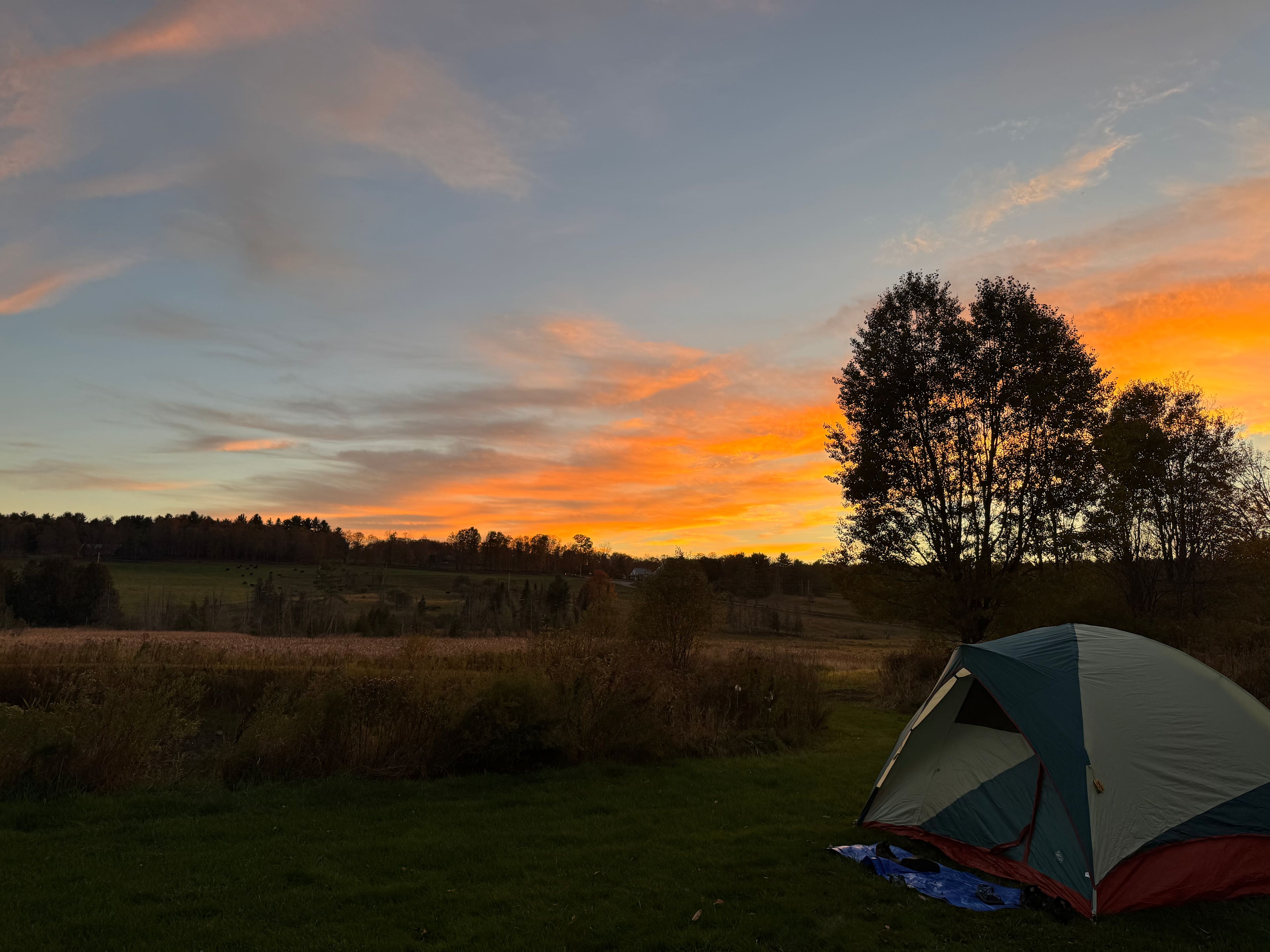 Peck Farm Orchard Pond