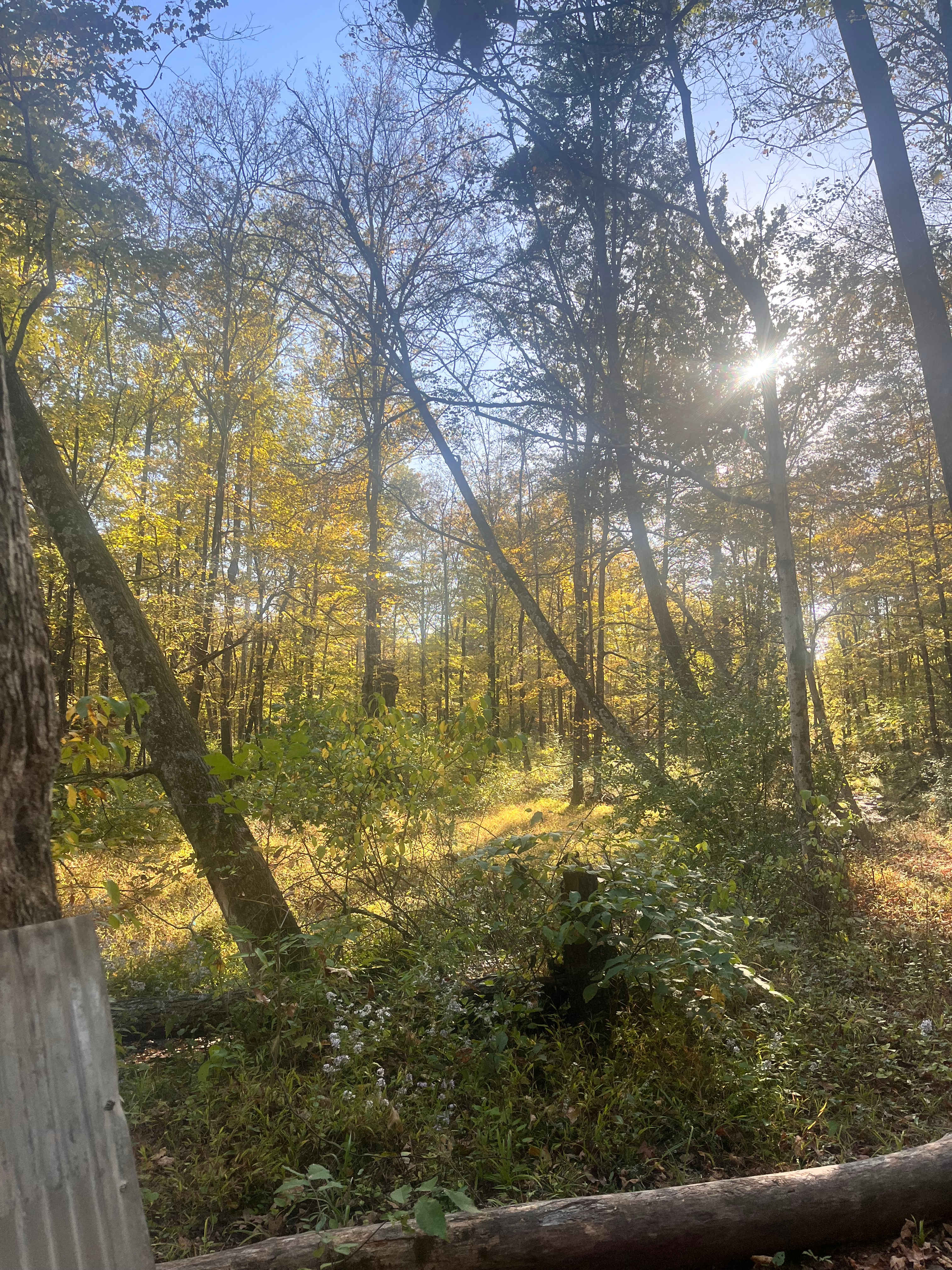 Grampy's Red Rock Rabbit Ranch